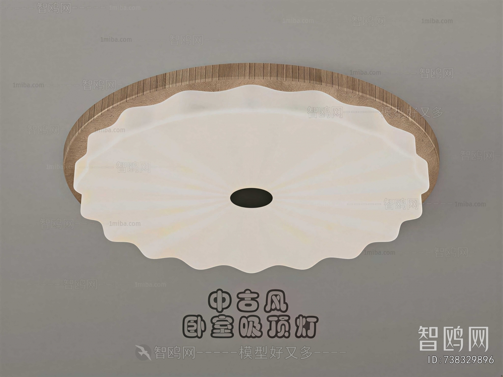 Modern Ceiling Ceiling Lamp
