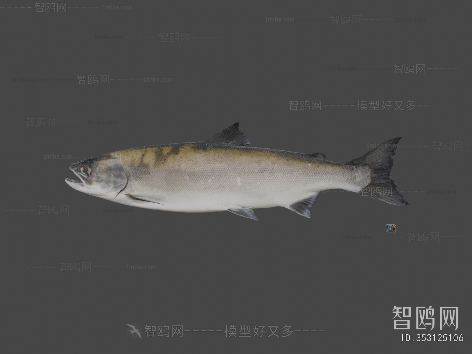 Modern Aquatic Animals