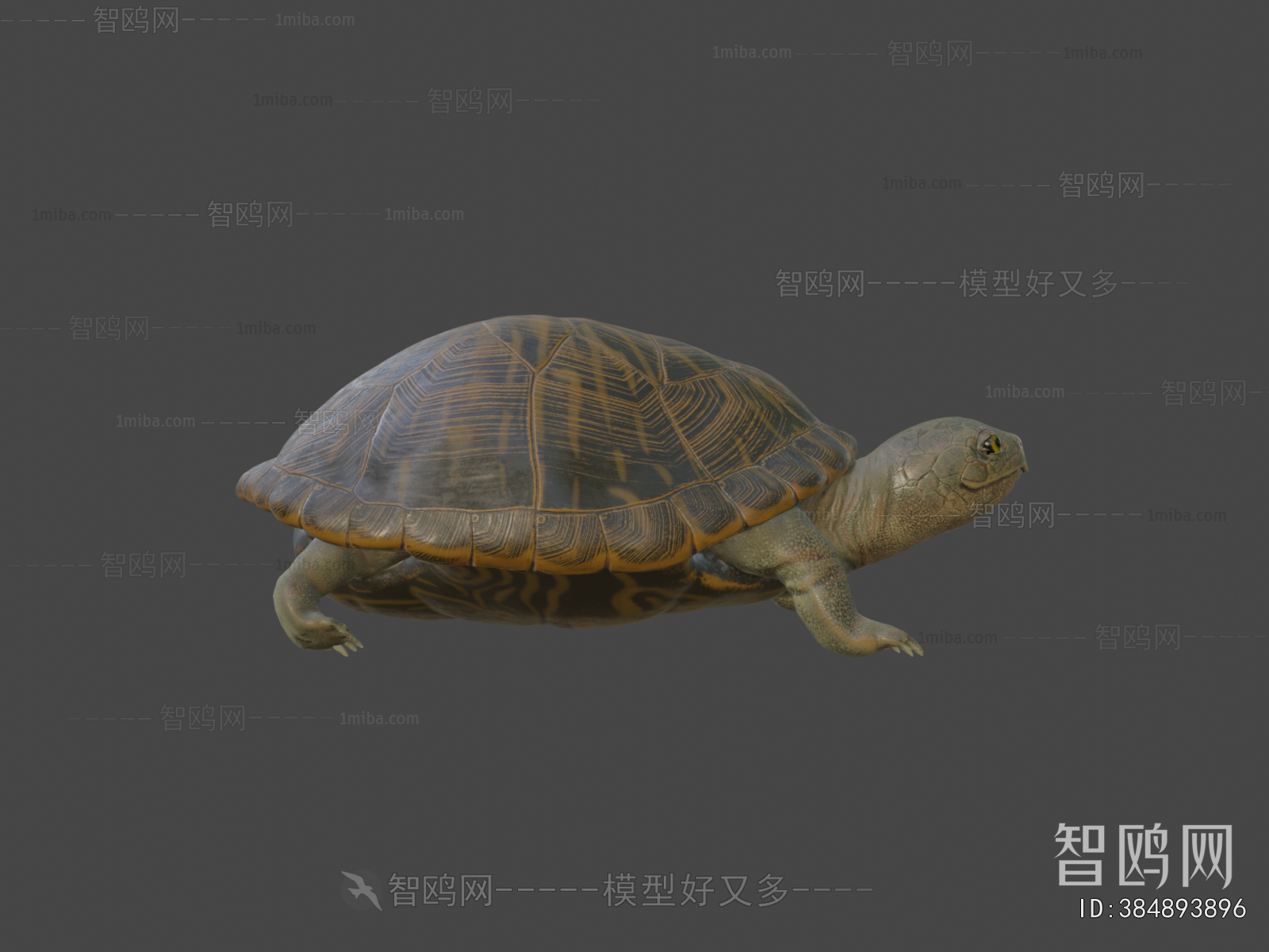 Modern Reptile