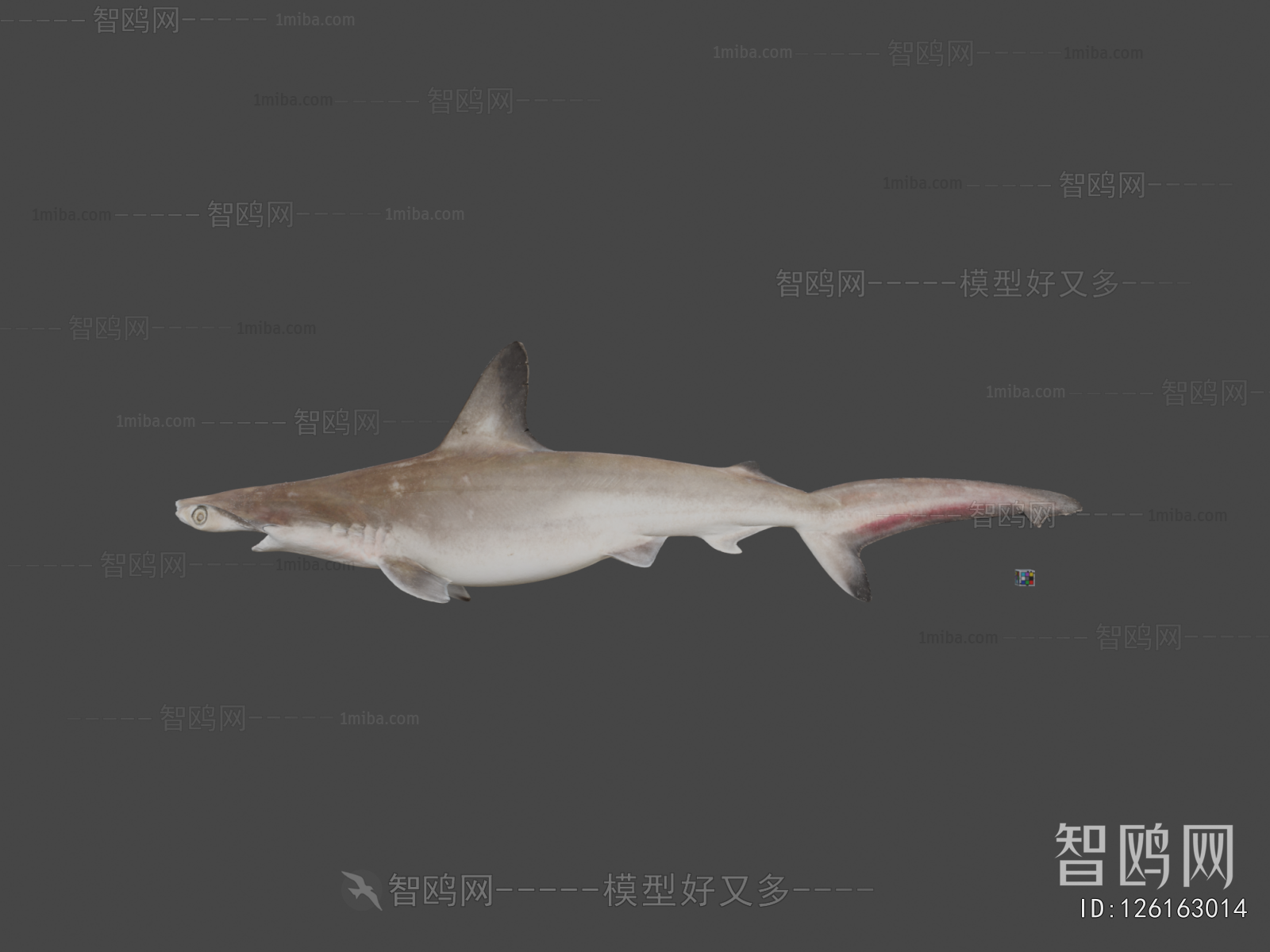 Modern Animal