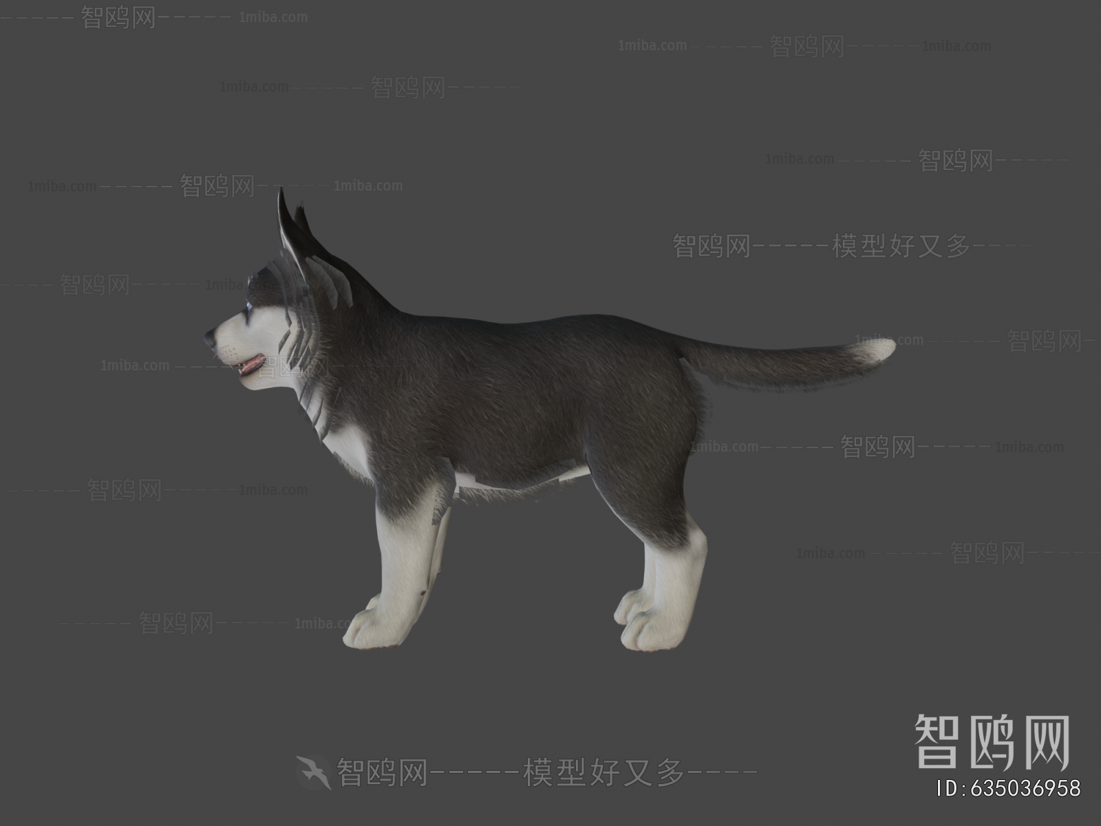 Modern Animal Dog
