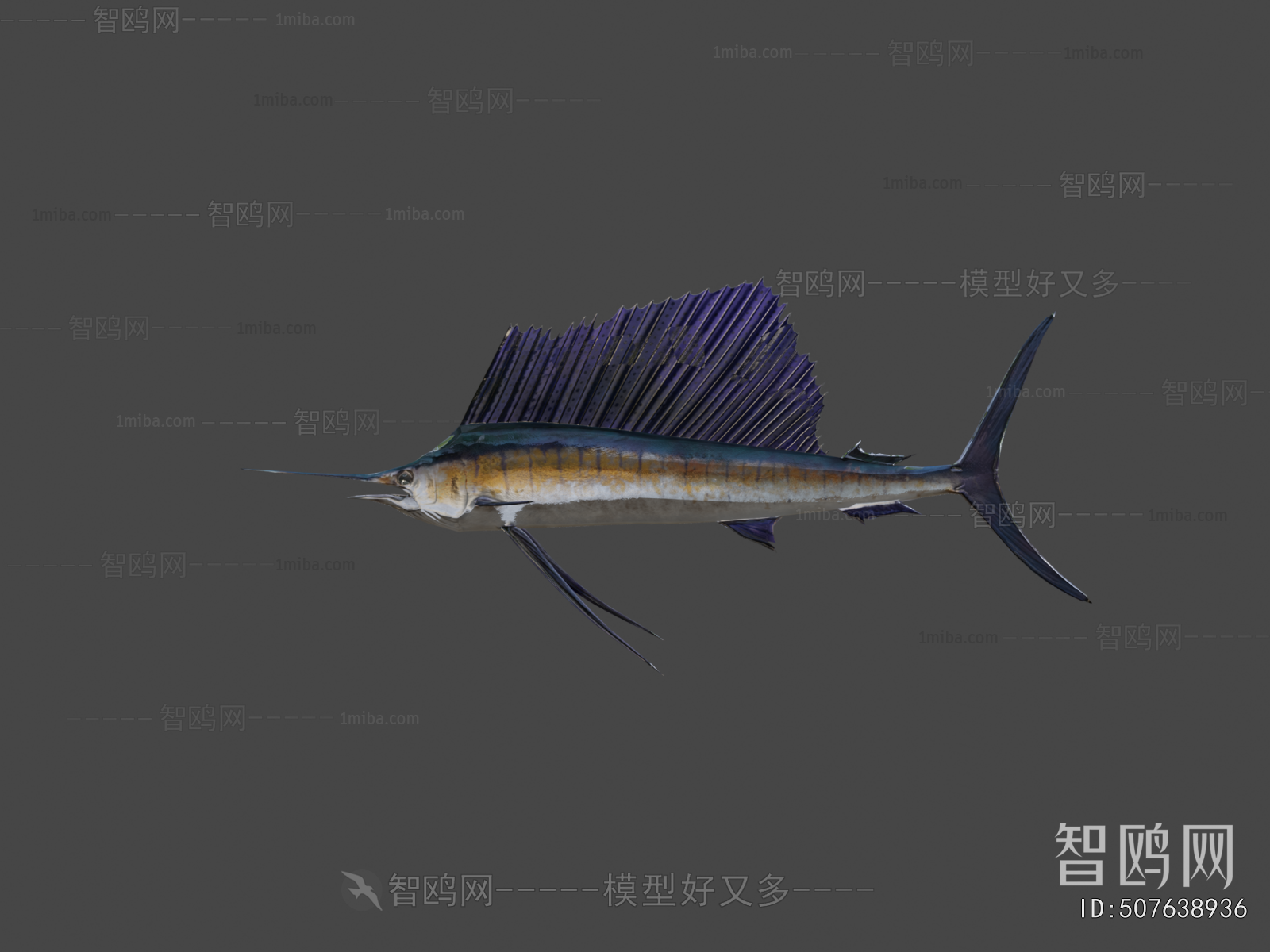 Modern Aquatic Animals