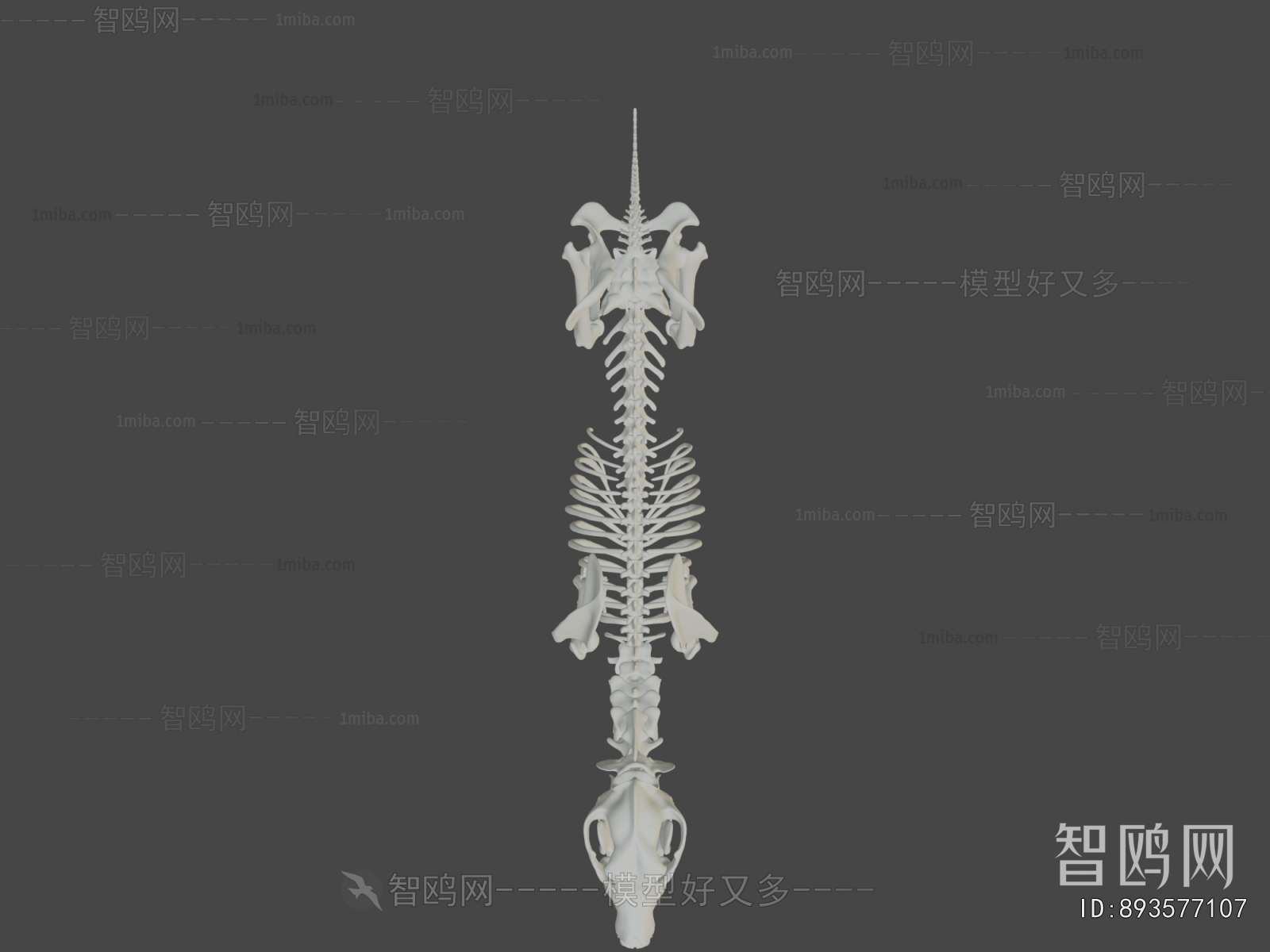 Modern Medical Equipment