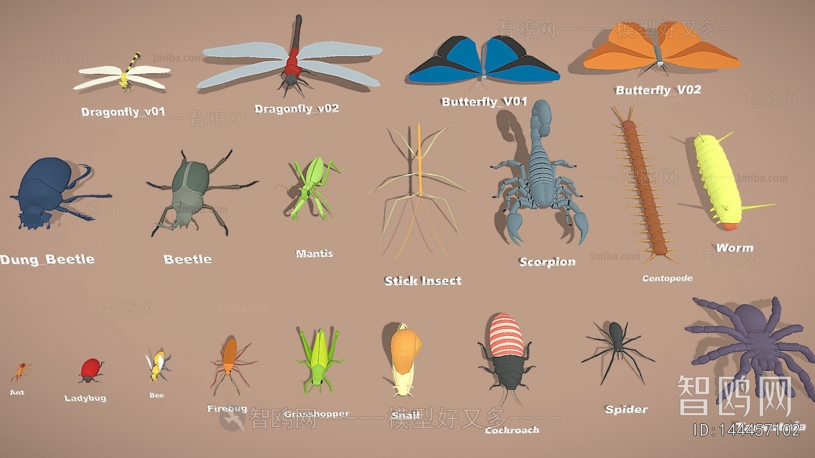 Modern Animal