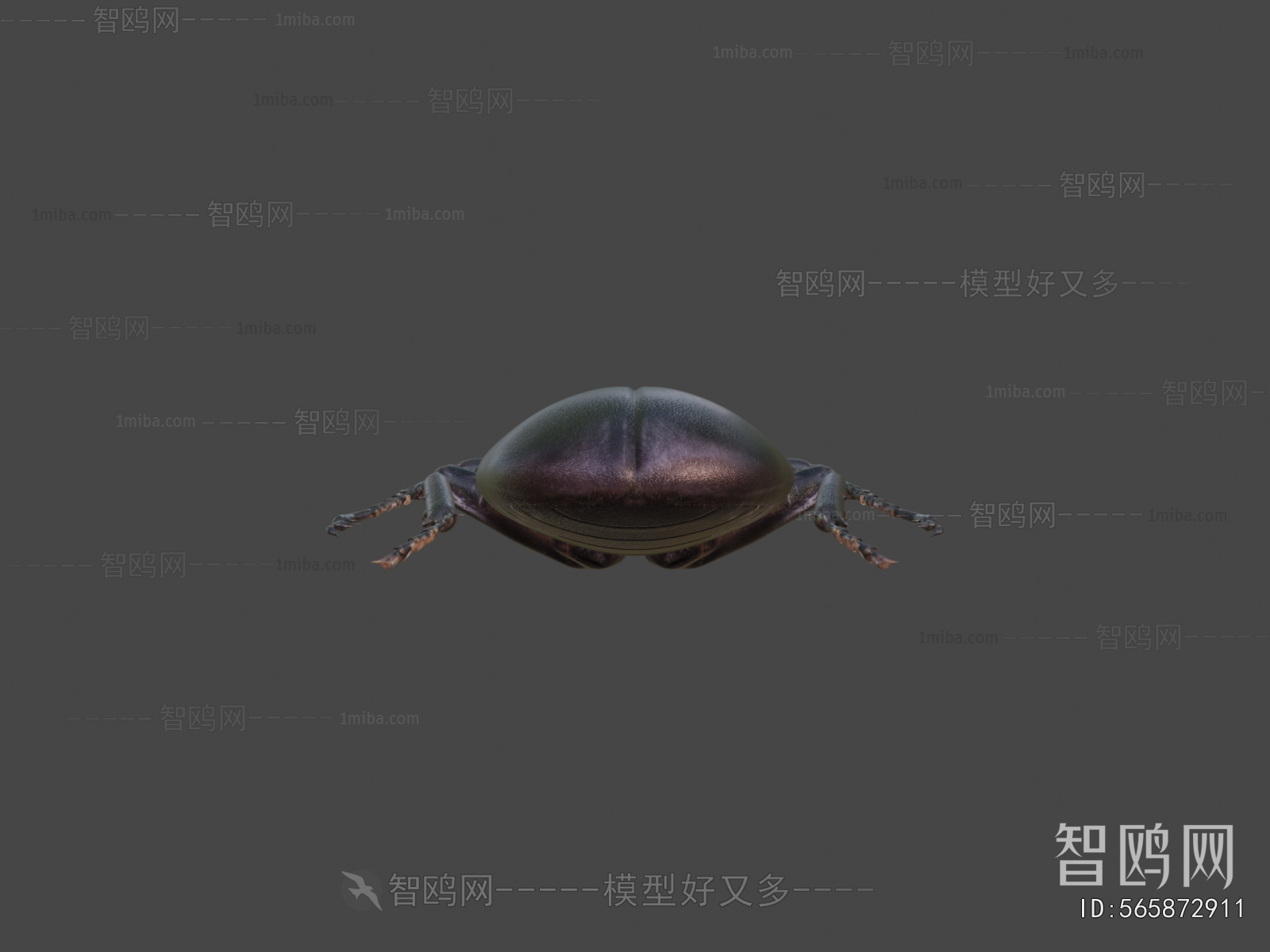 Modern Animal