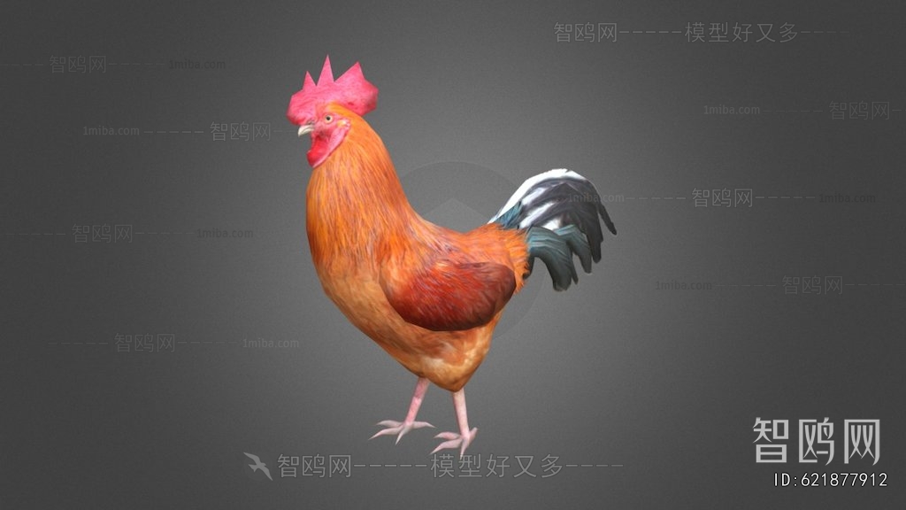 Modern Poultry Animal