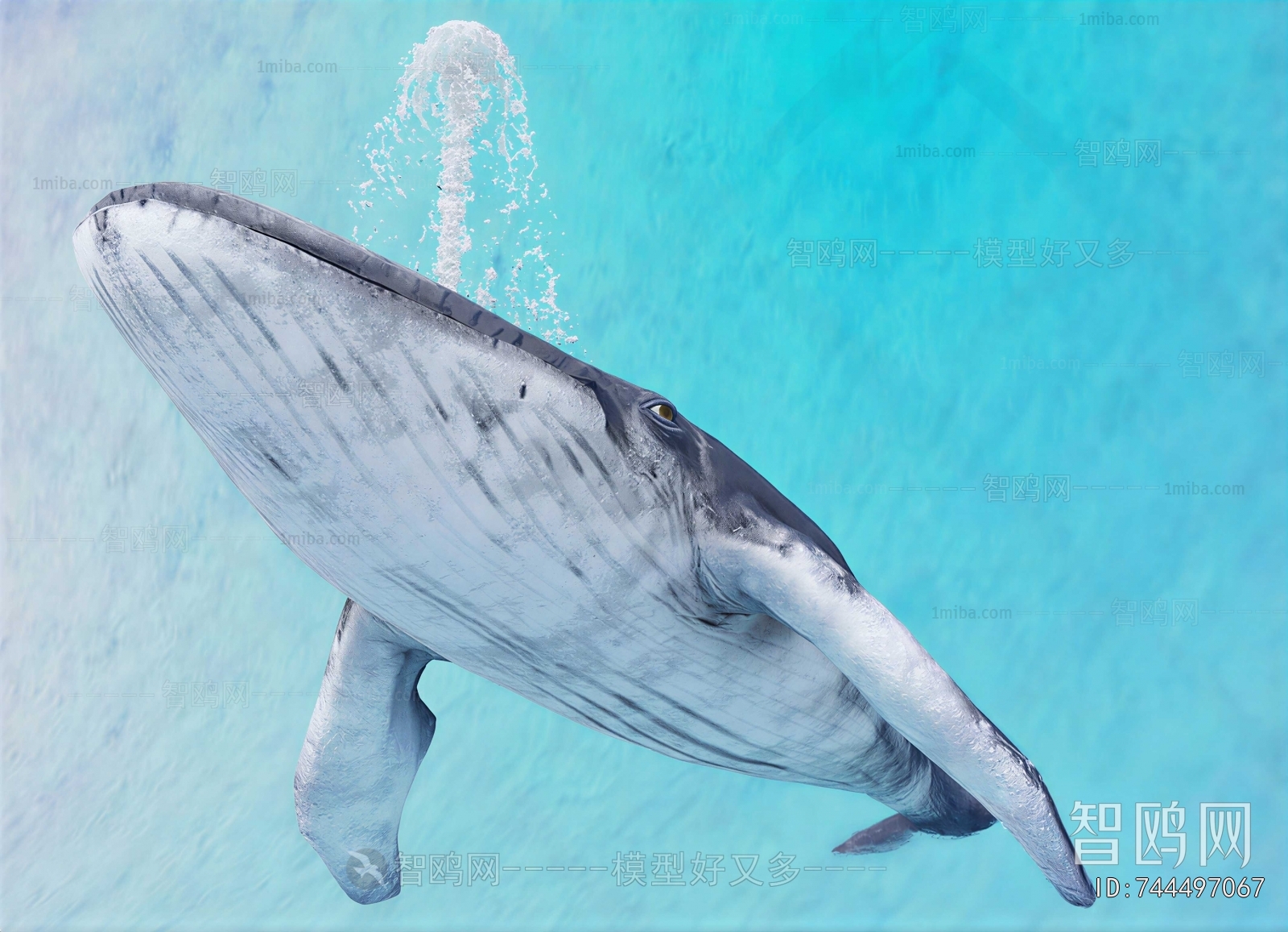 Modern Aquatic Animals