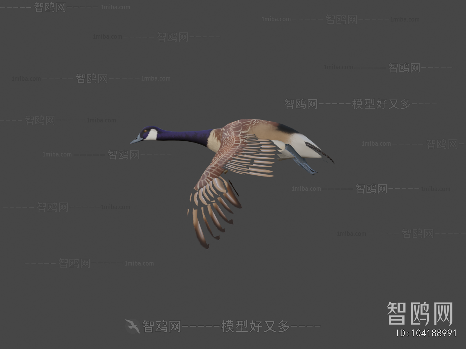 Modern Animal