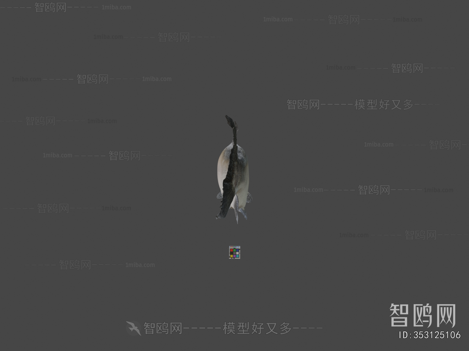Modern Aquatic Animals