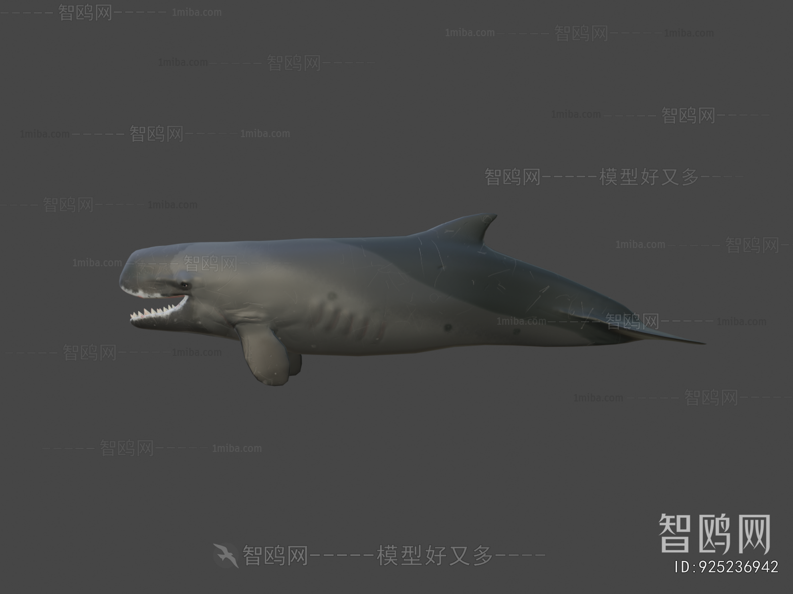 Modern Aquatic Animals
