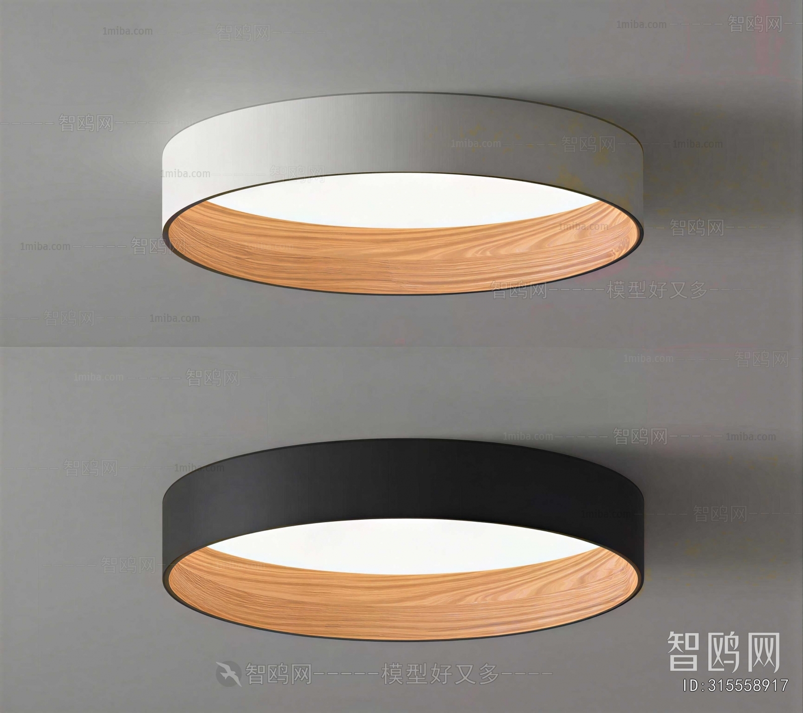 Modern Ceiling Ceiling Lamp