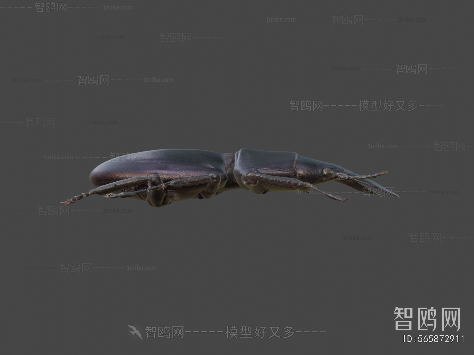 Modern Animal