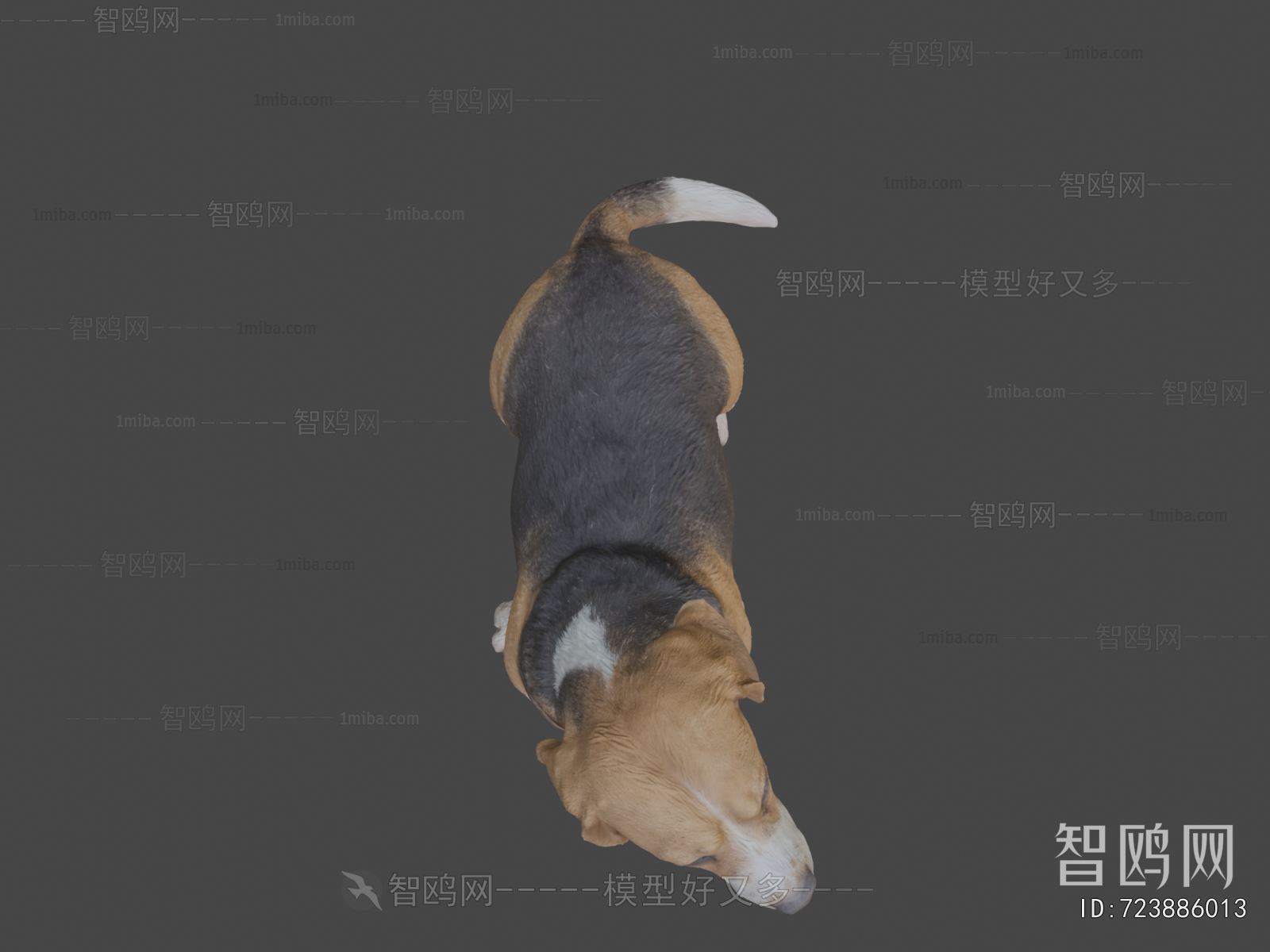 Modern Animal Dog