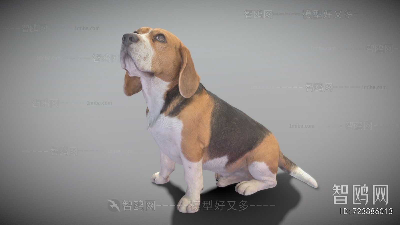 Modern Animal Dog