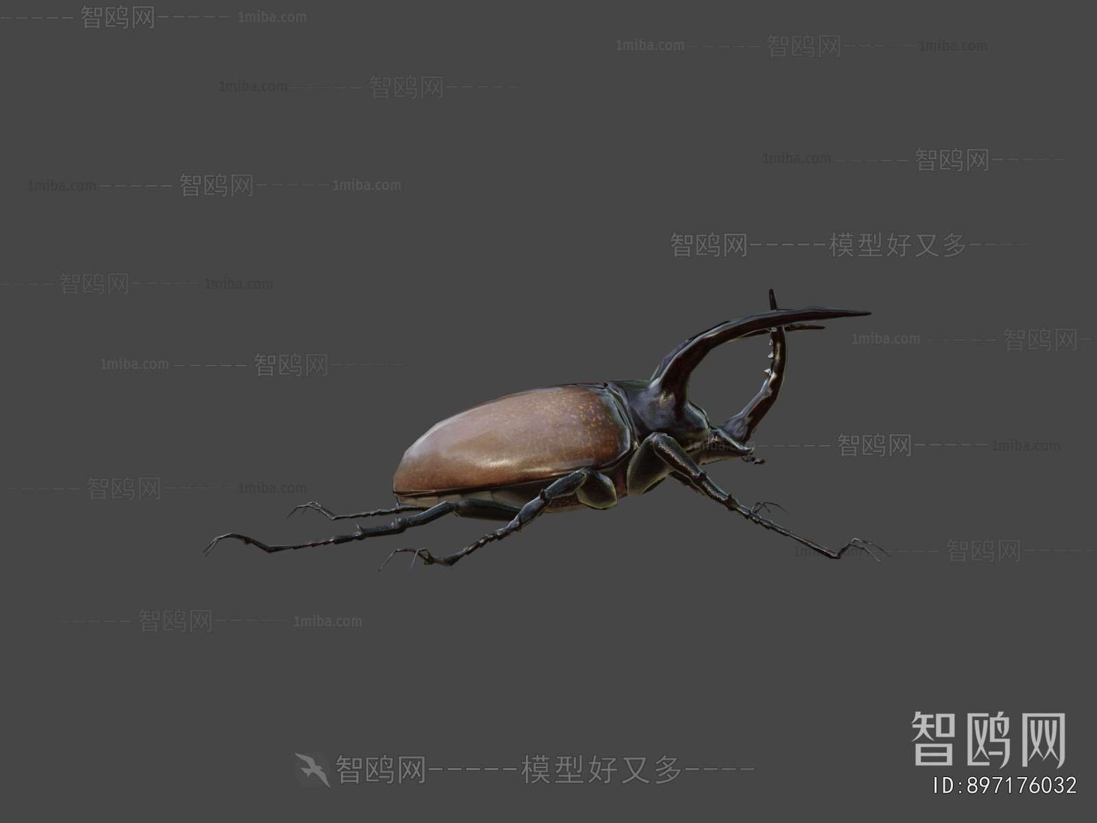 Modern Animal