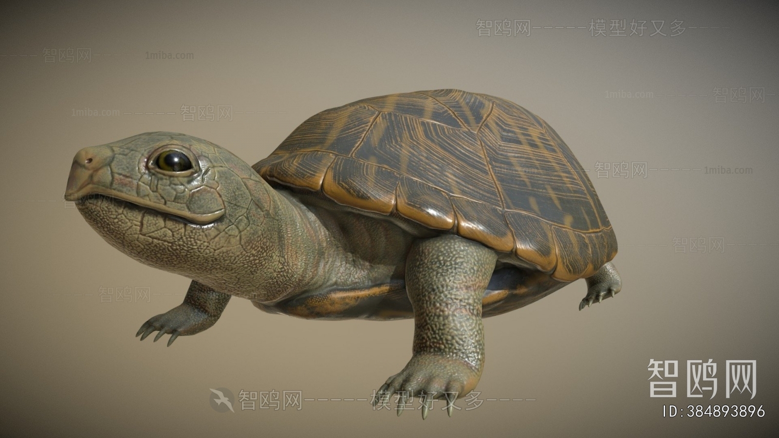 Modern Reptile