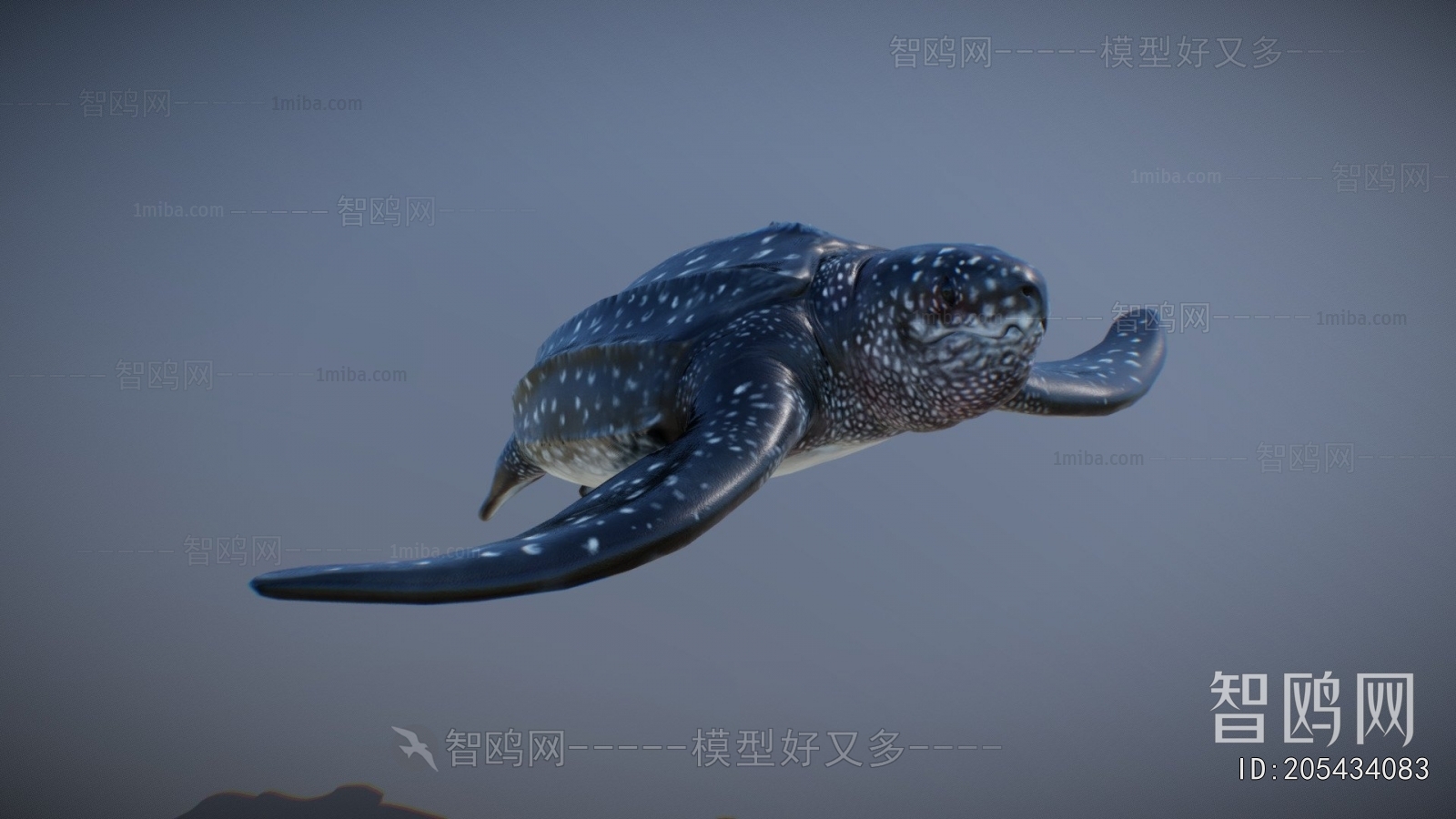 Modern Aquatic Animals