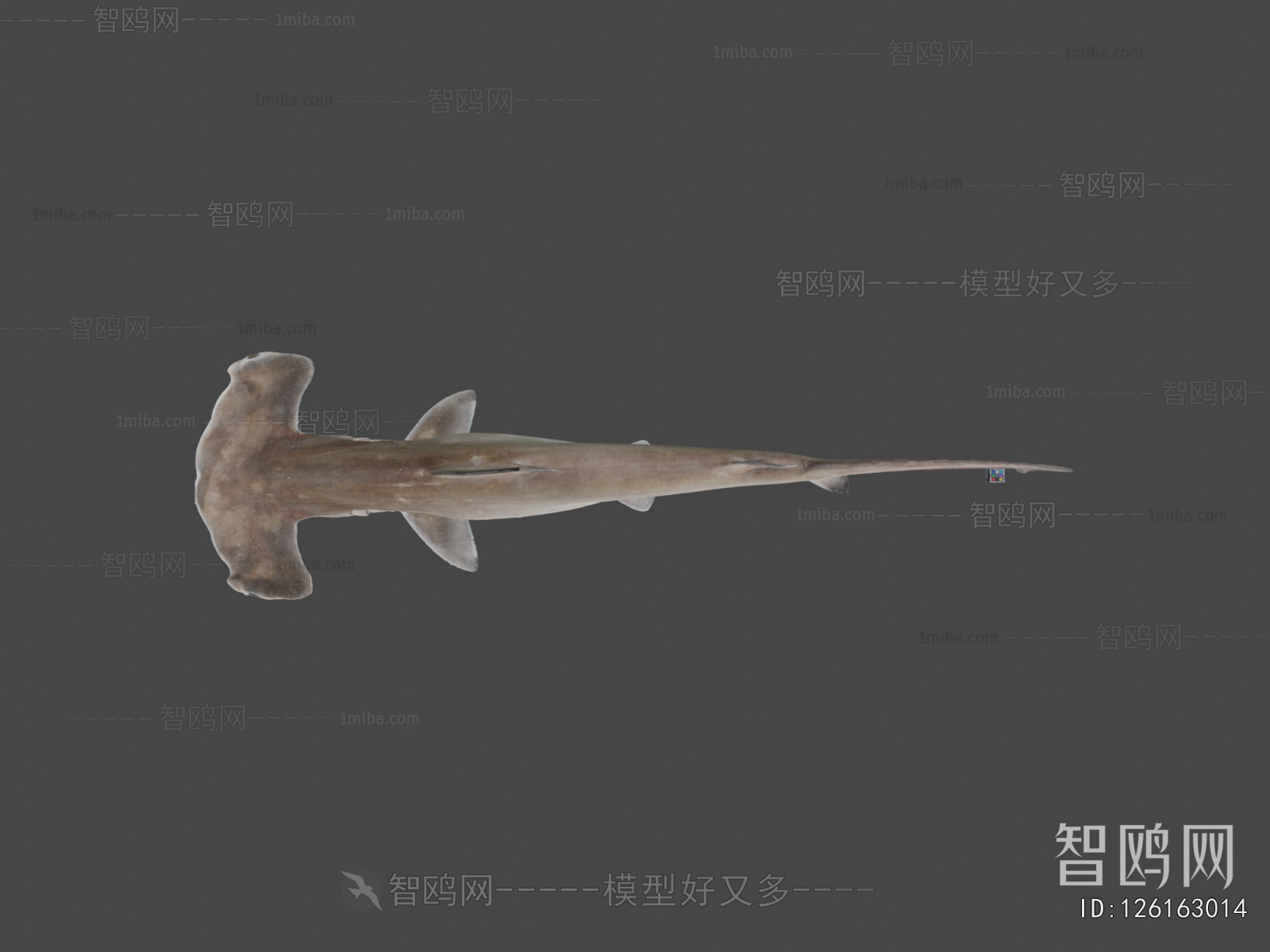 Modern Animal