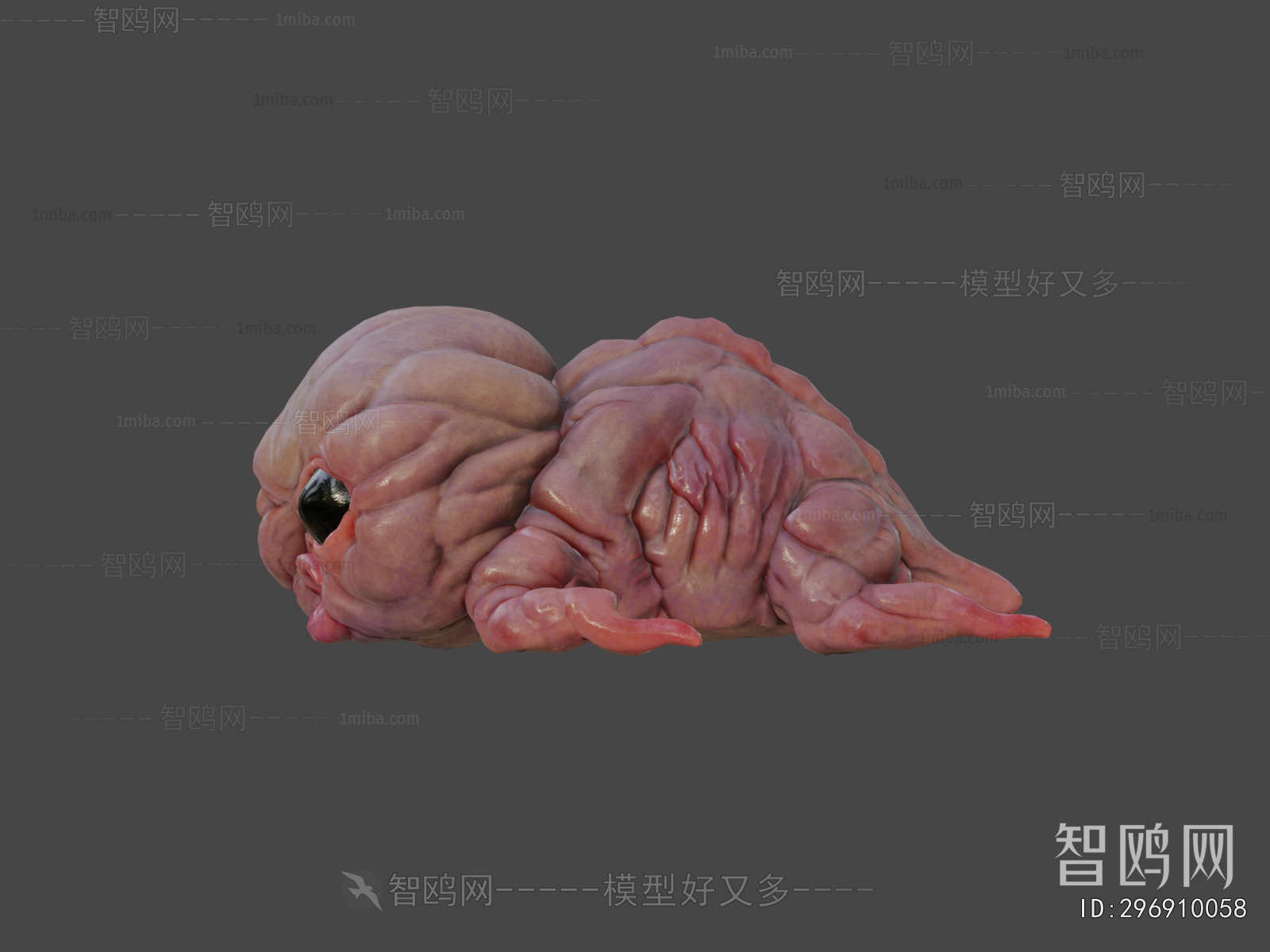 Modern Animal