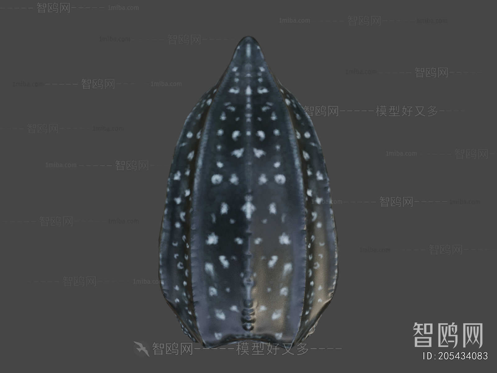 Modern Aquatic Animals