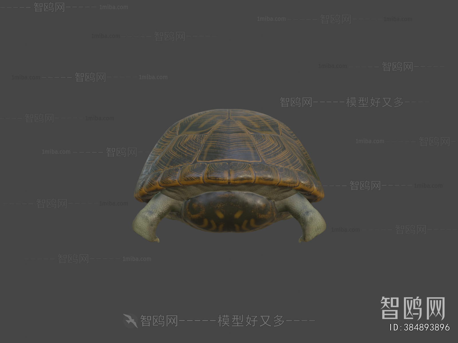 Modern Reptile