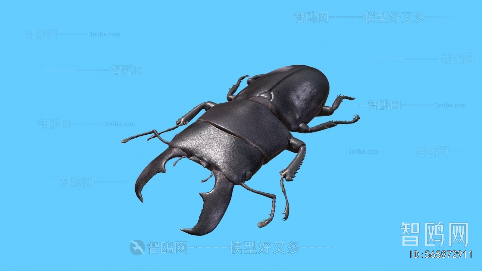 Modern Animal