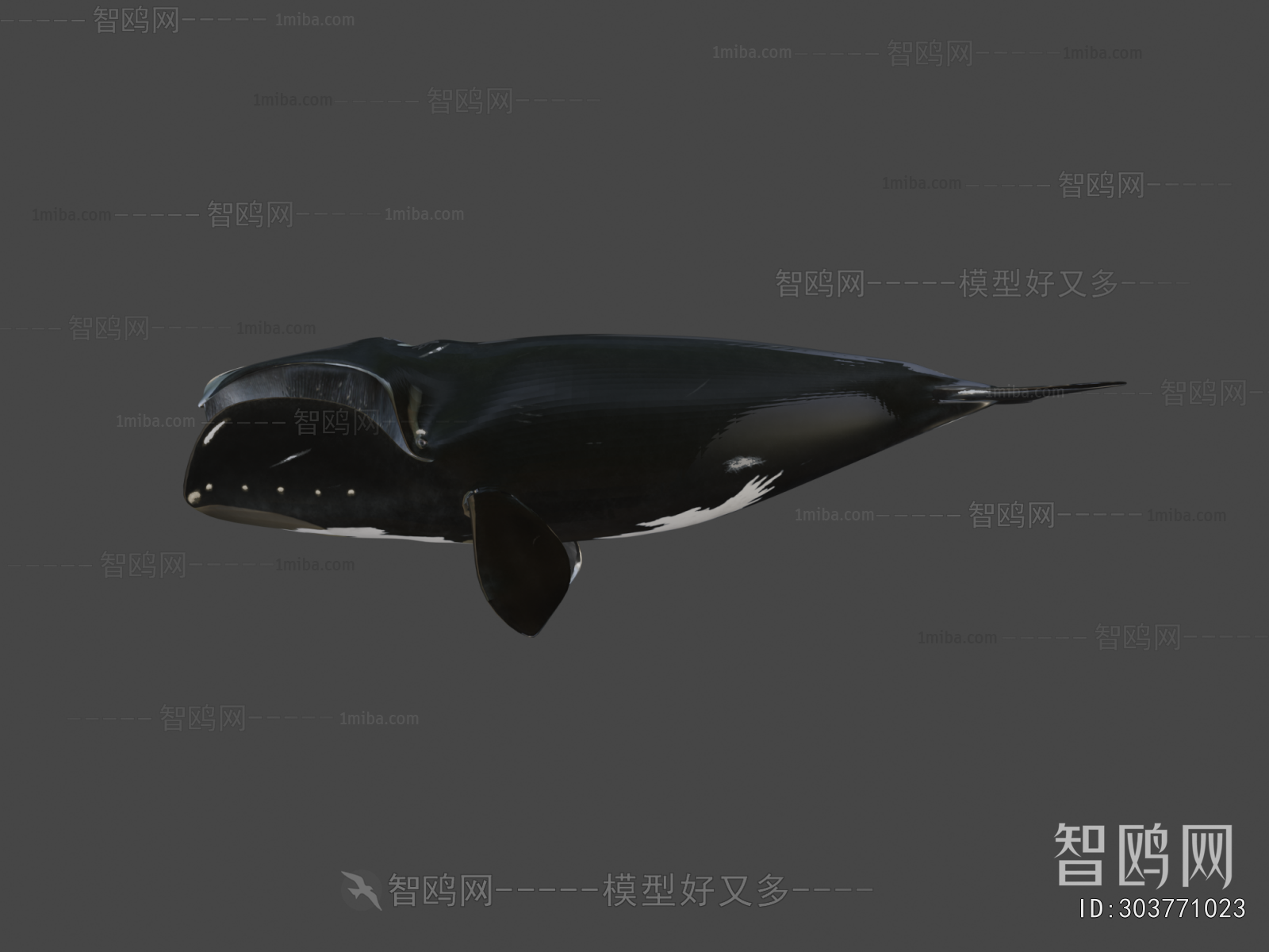 Modern Animal