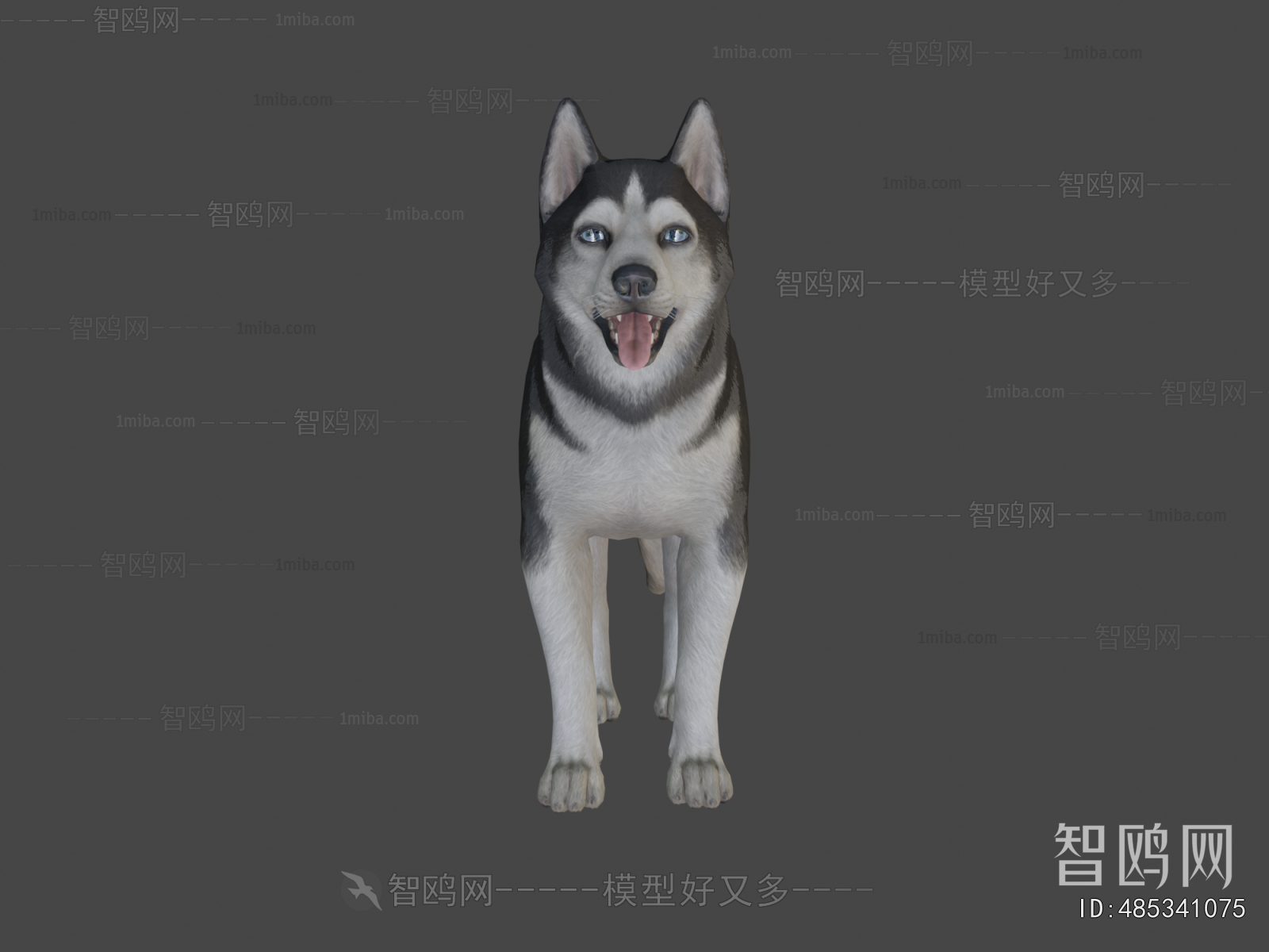 Modern Animal Dog