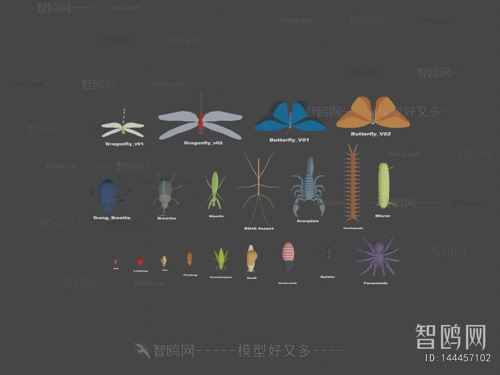 Modern Animal