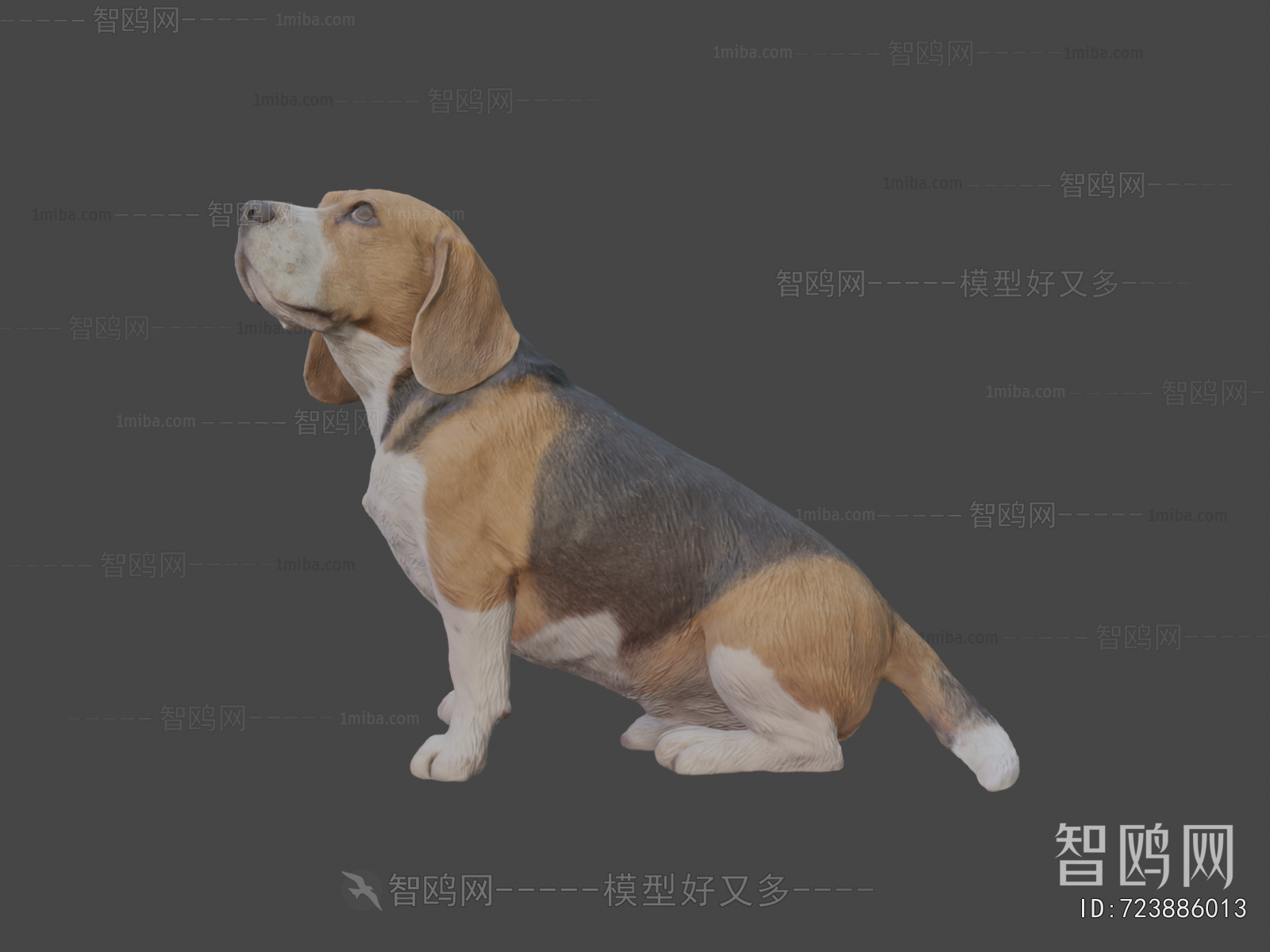 Modern Animal Dog