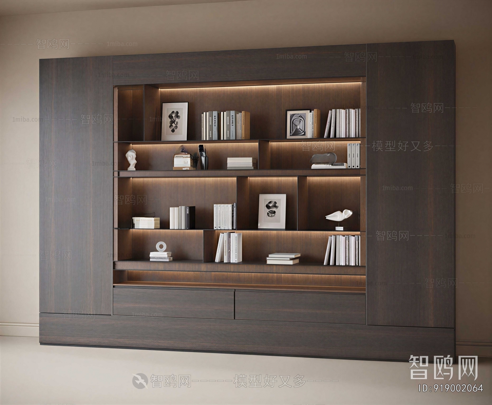 Modern Bookcase