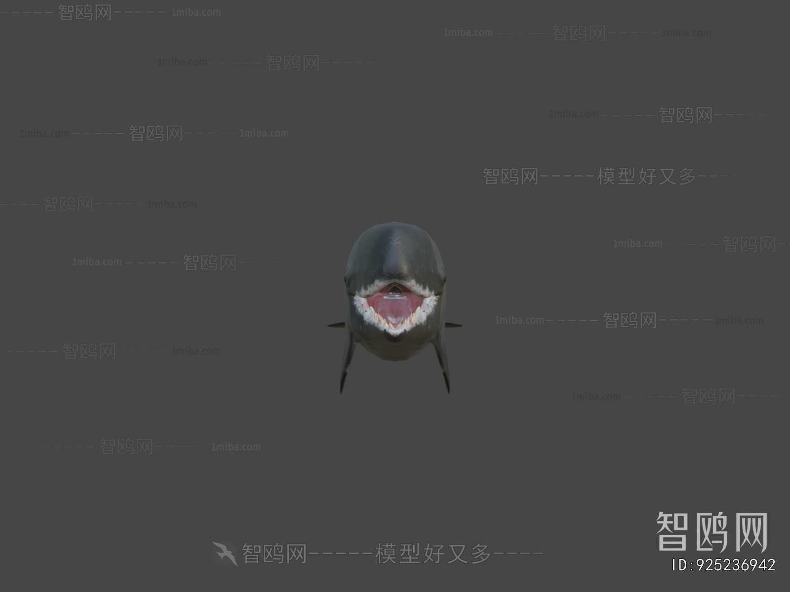 Modern Aquatic Animals