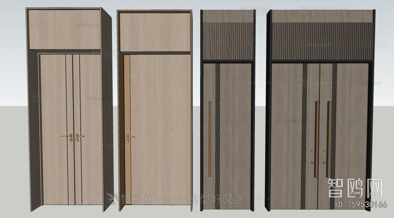 Modern Door