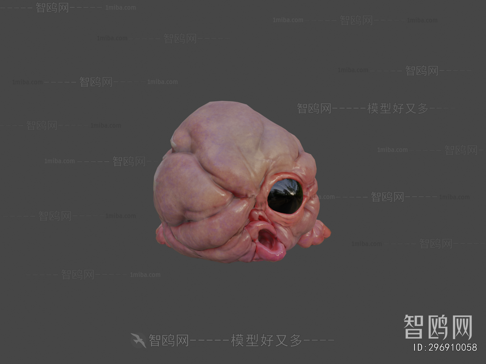 Modern Animal