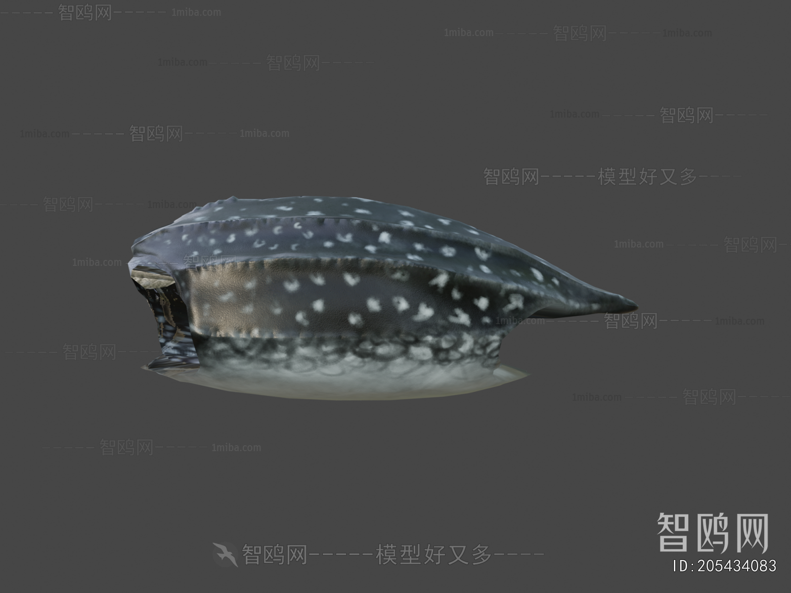 Modern Aquatic Animals