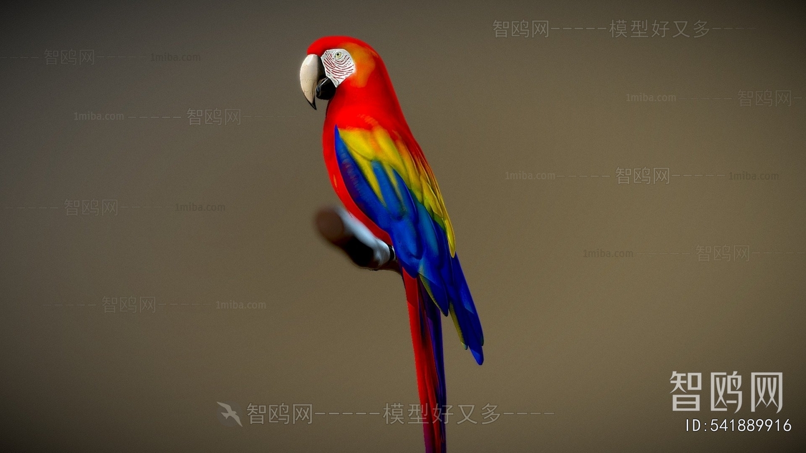 Modern Animal