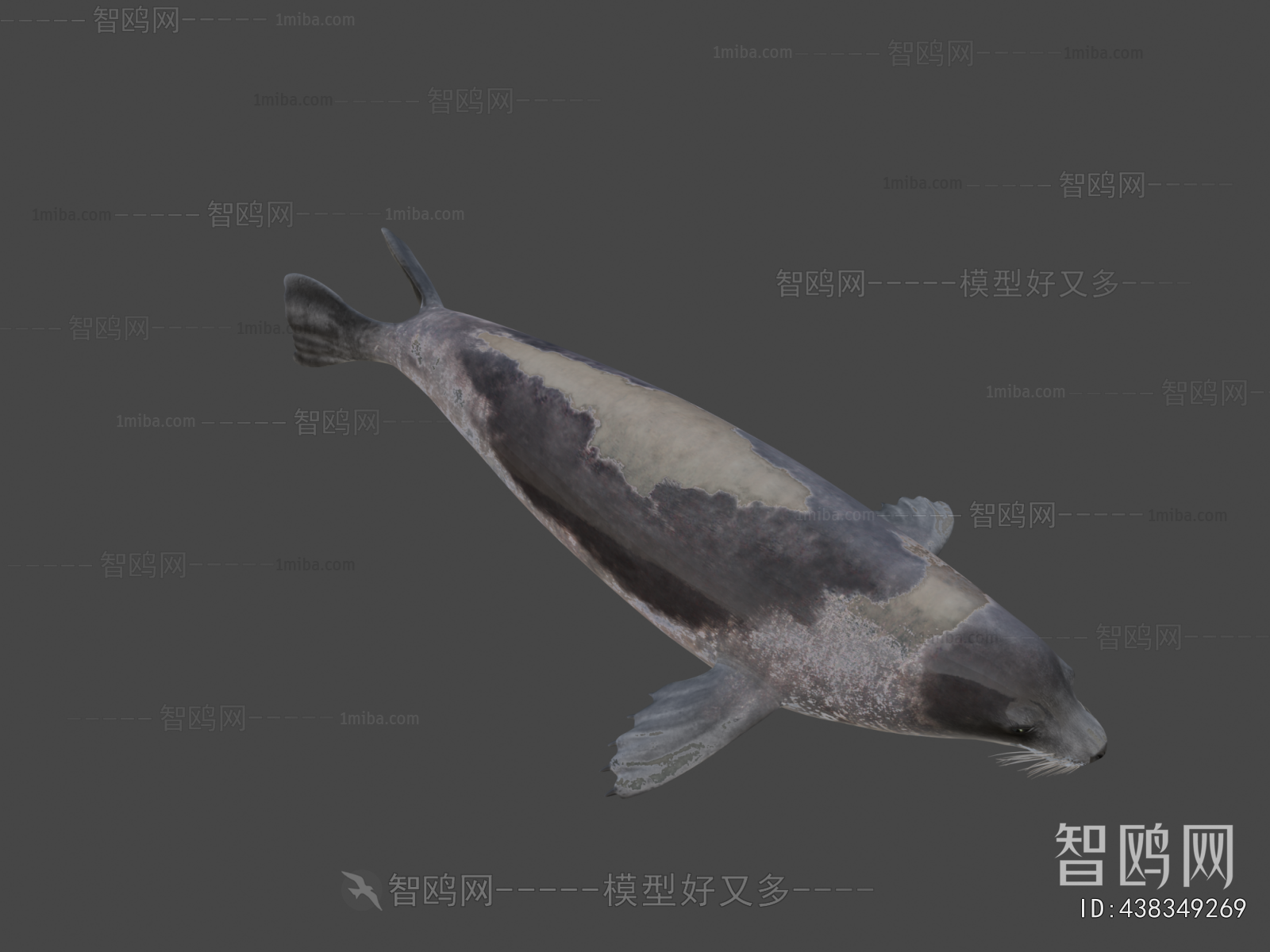 Modern Aquatic Animals