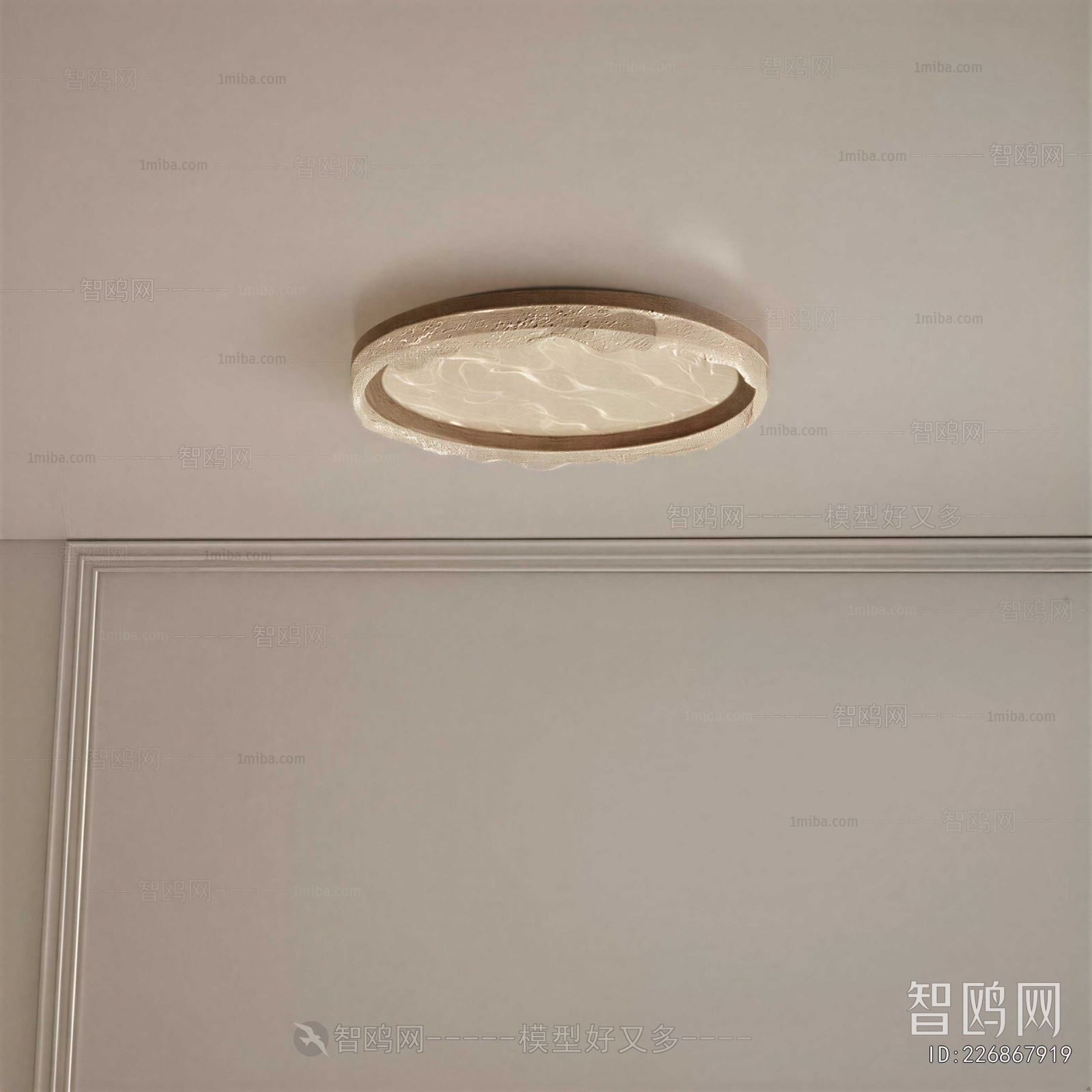 Modern Ceiling Ceiling Lamp