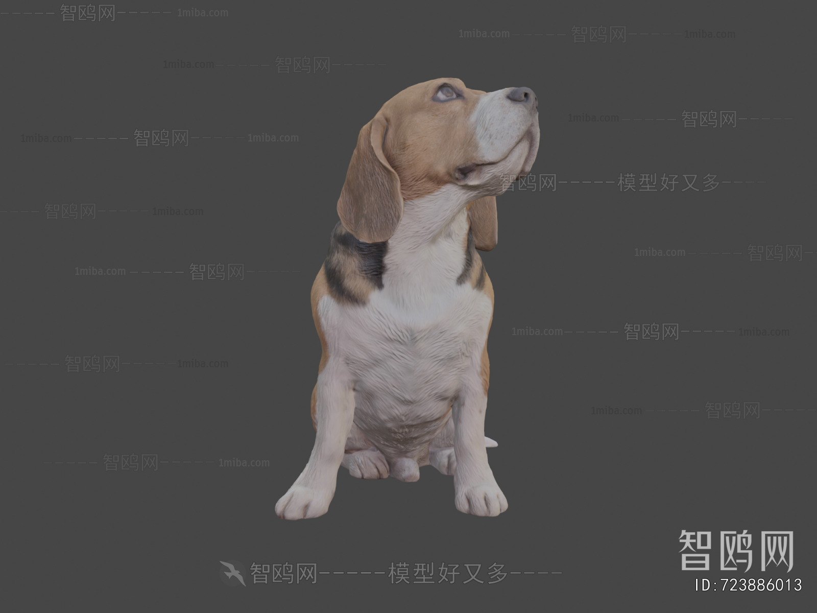 Modern Animal Dog