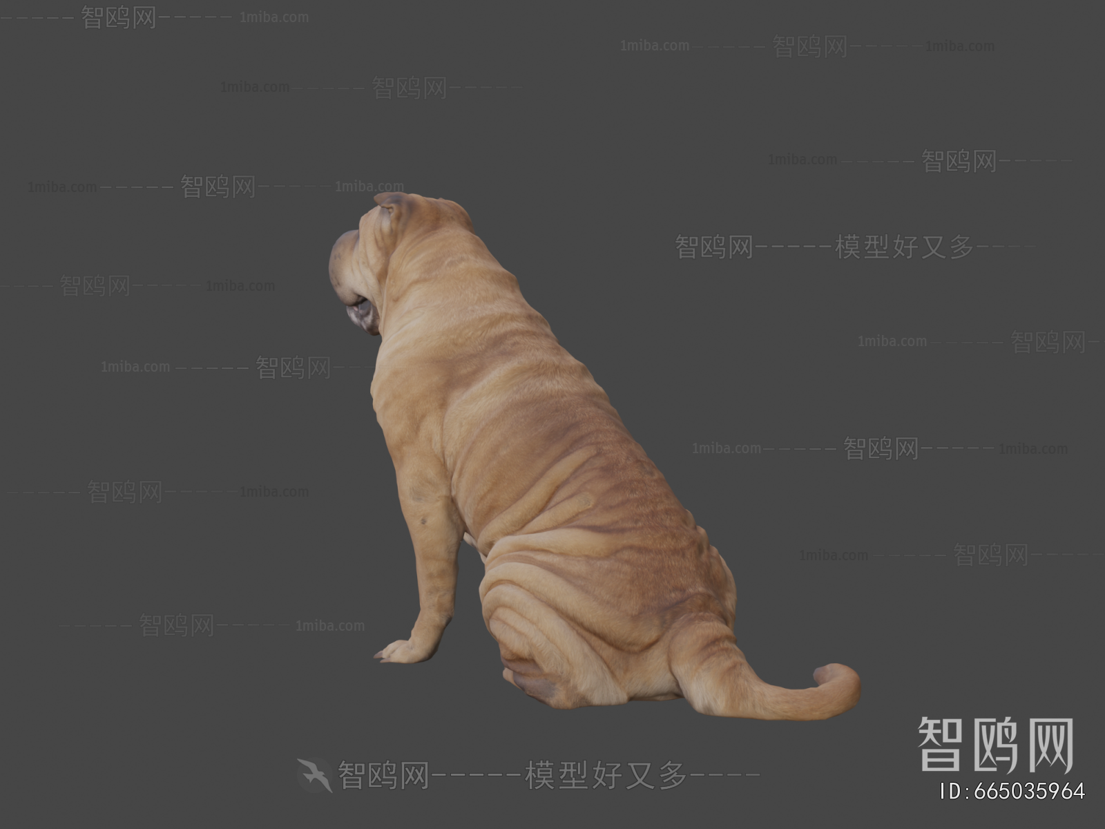 Modern Animal Dog