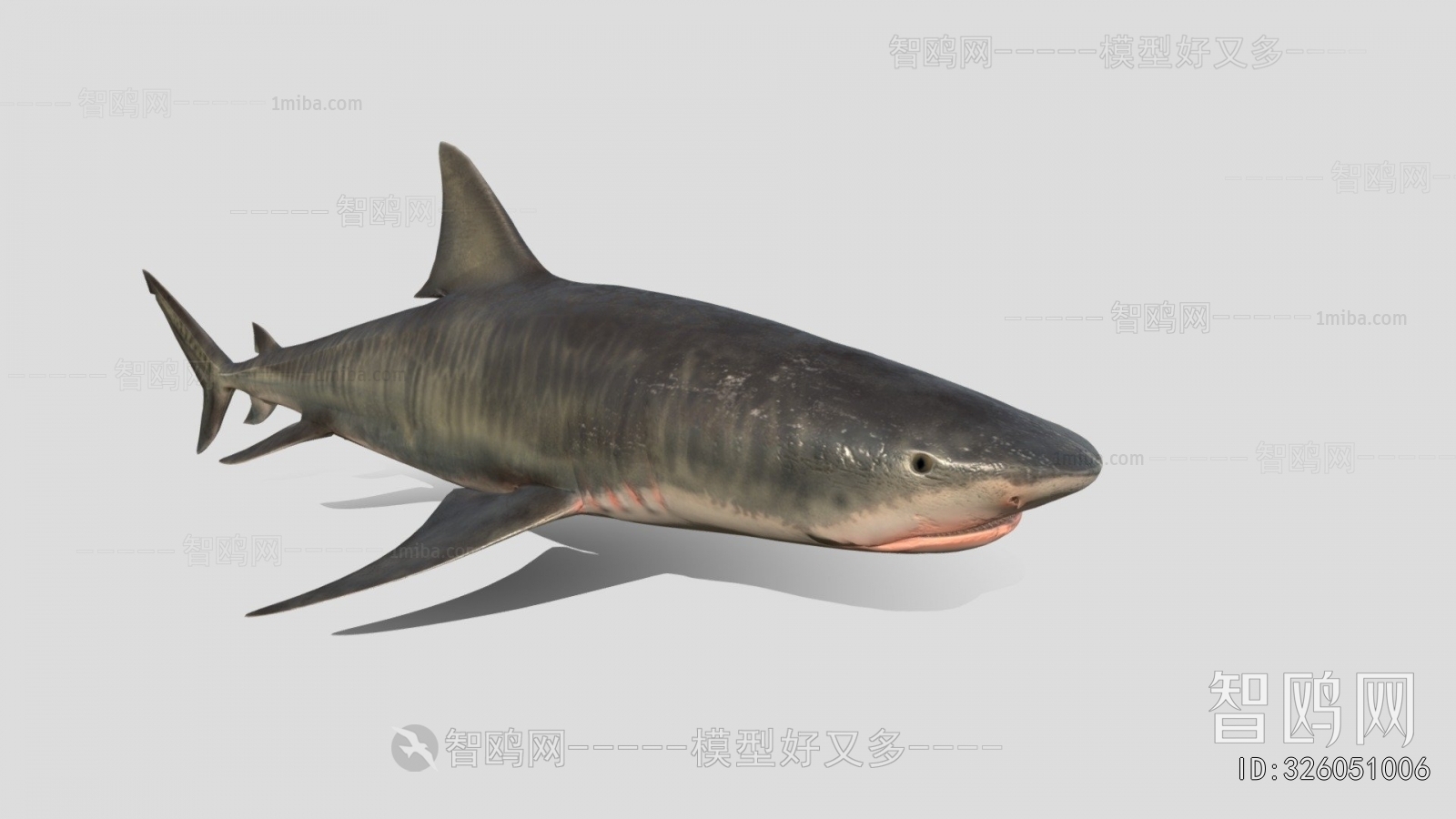 Modern Aquatic Animals