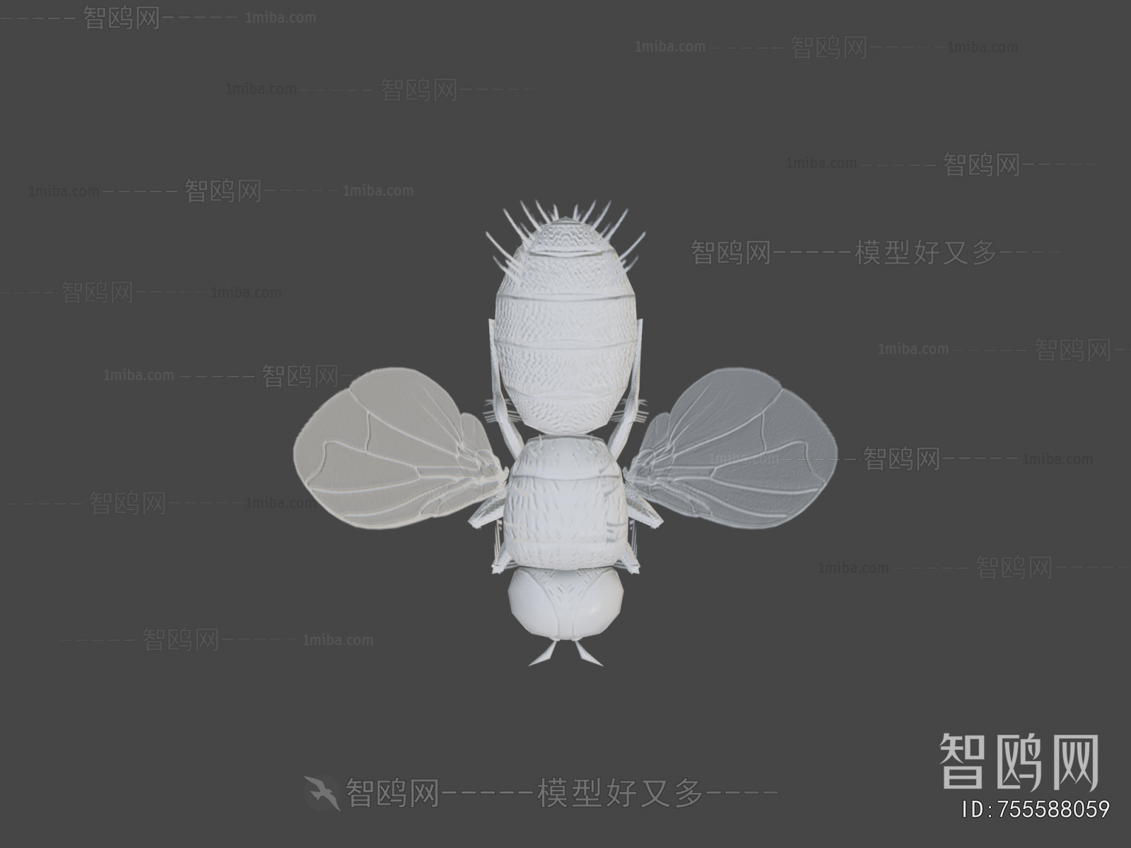 Modern Other Animals