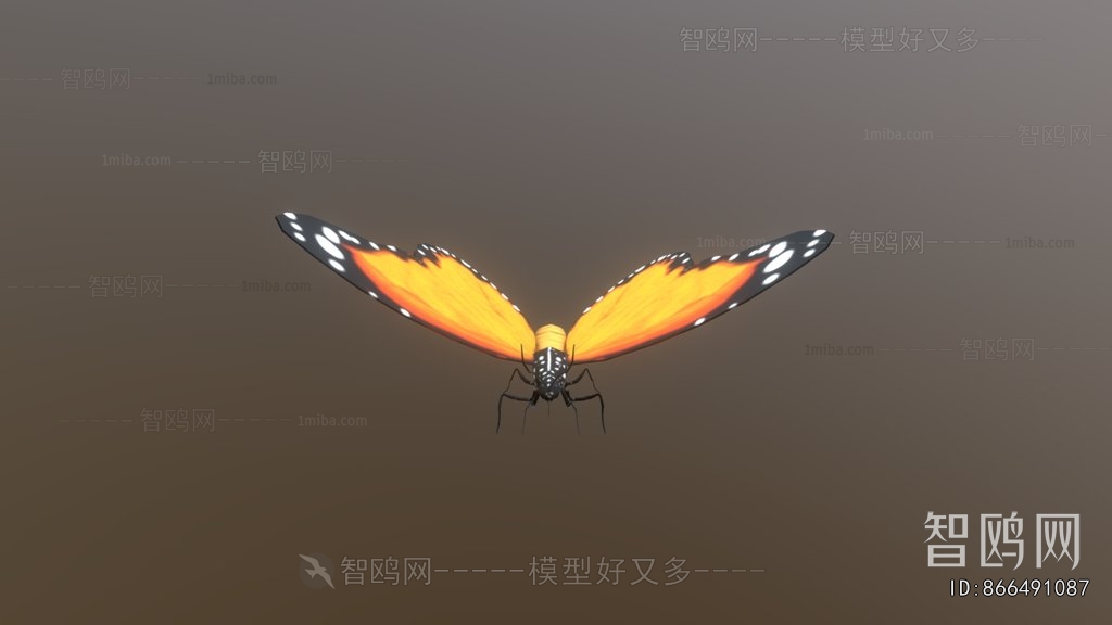 Modern Animal
