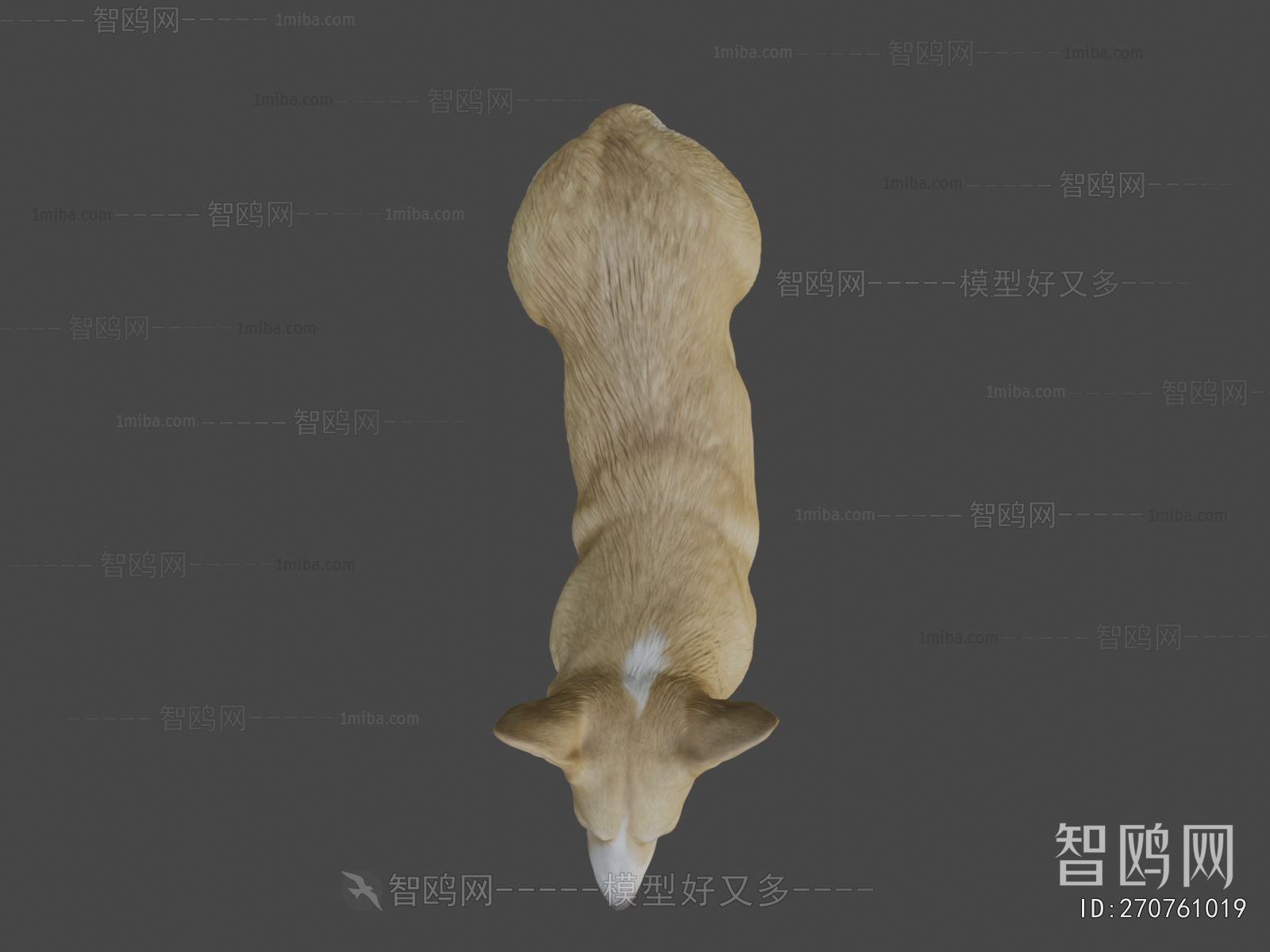 Modern Animal Dog