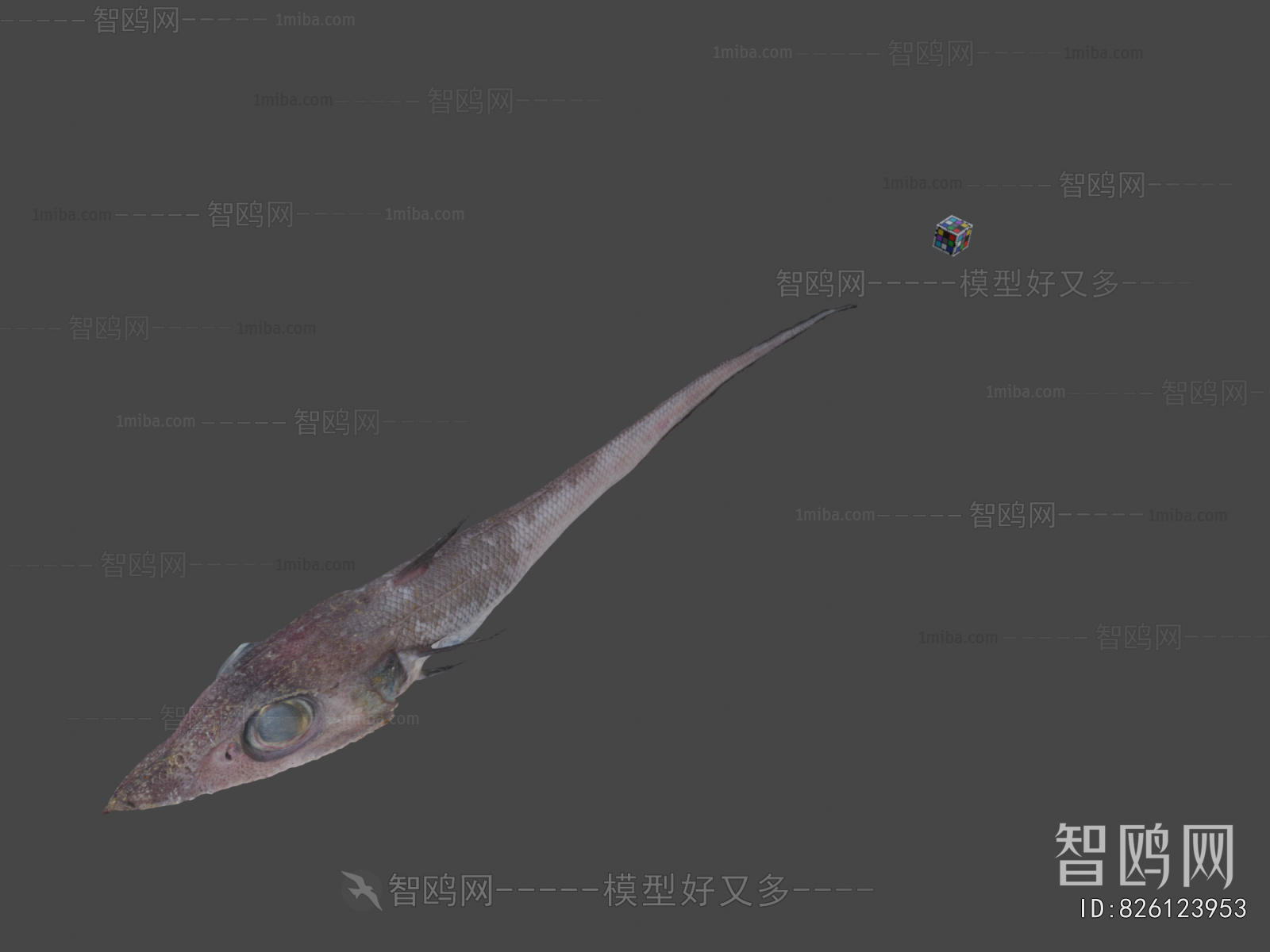 Modern Aquatic Animals