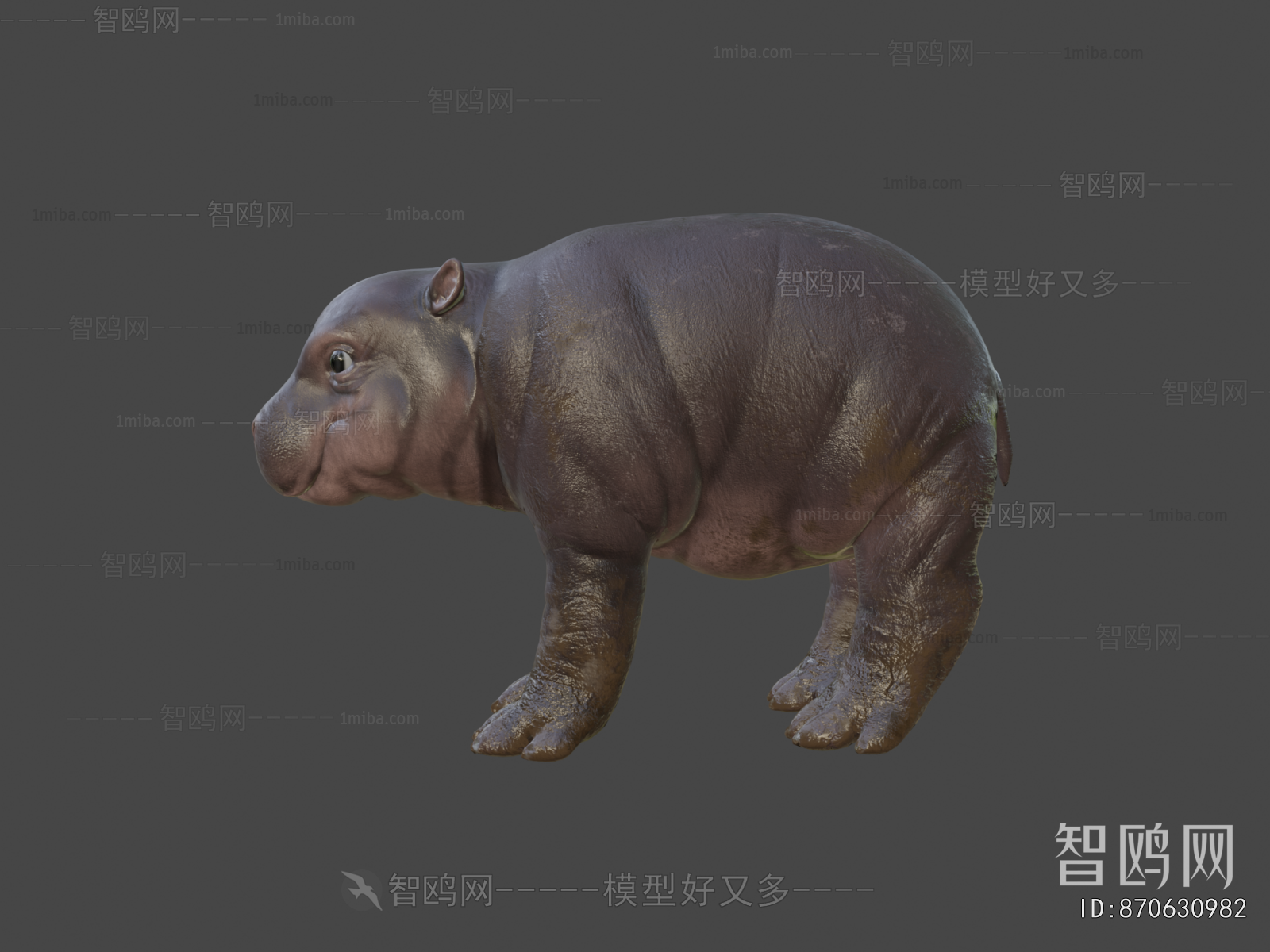 Modern Animal