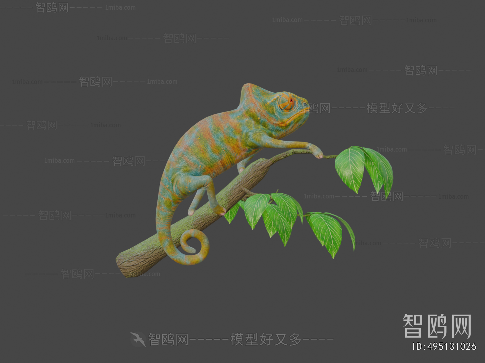 Modern Reptile
