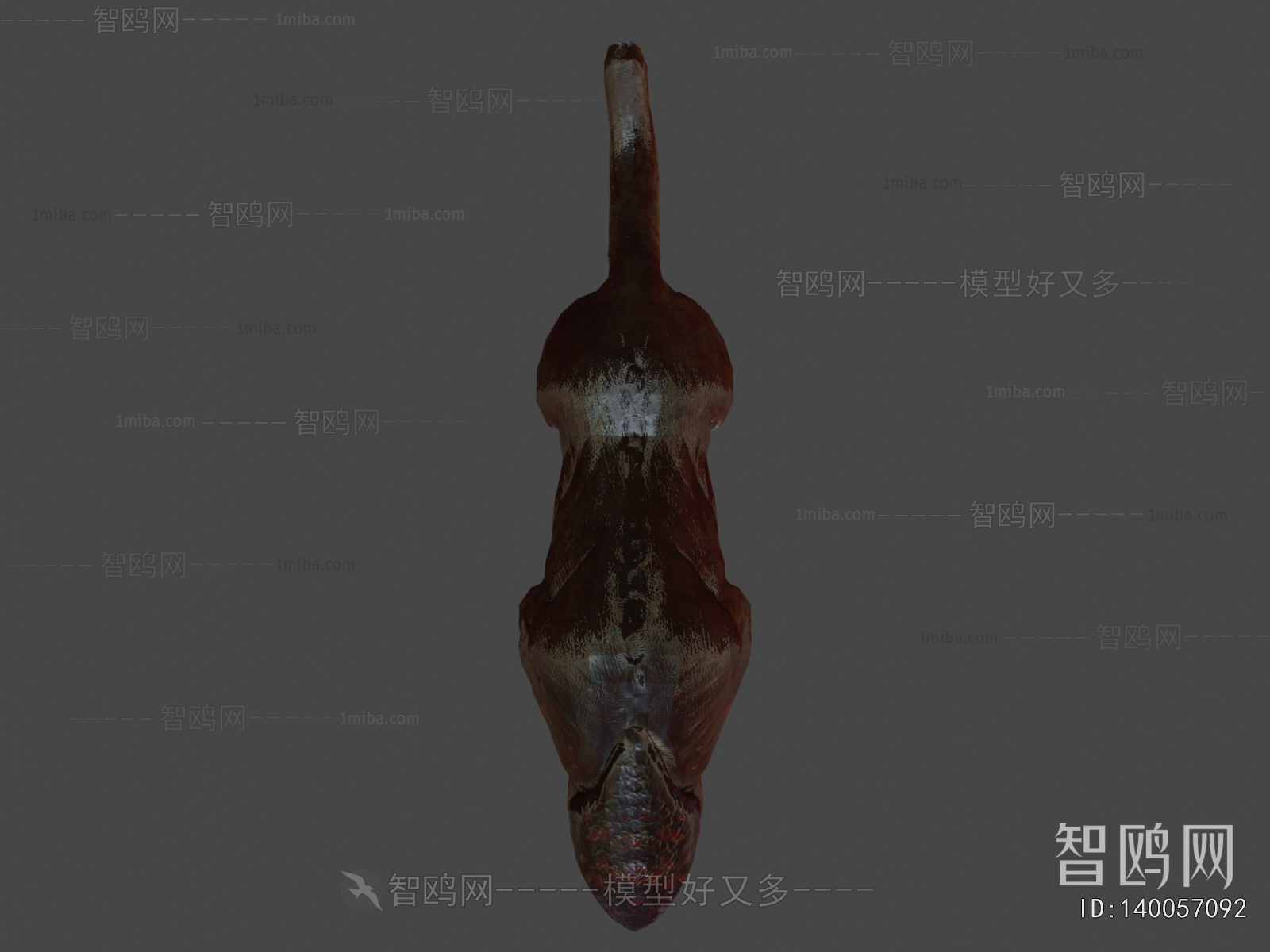 Modern Animal
