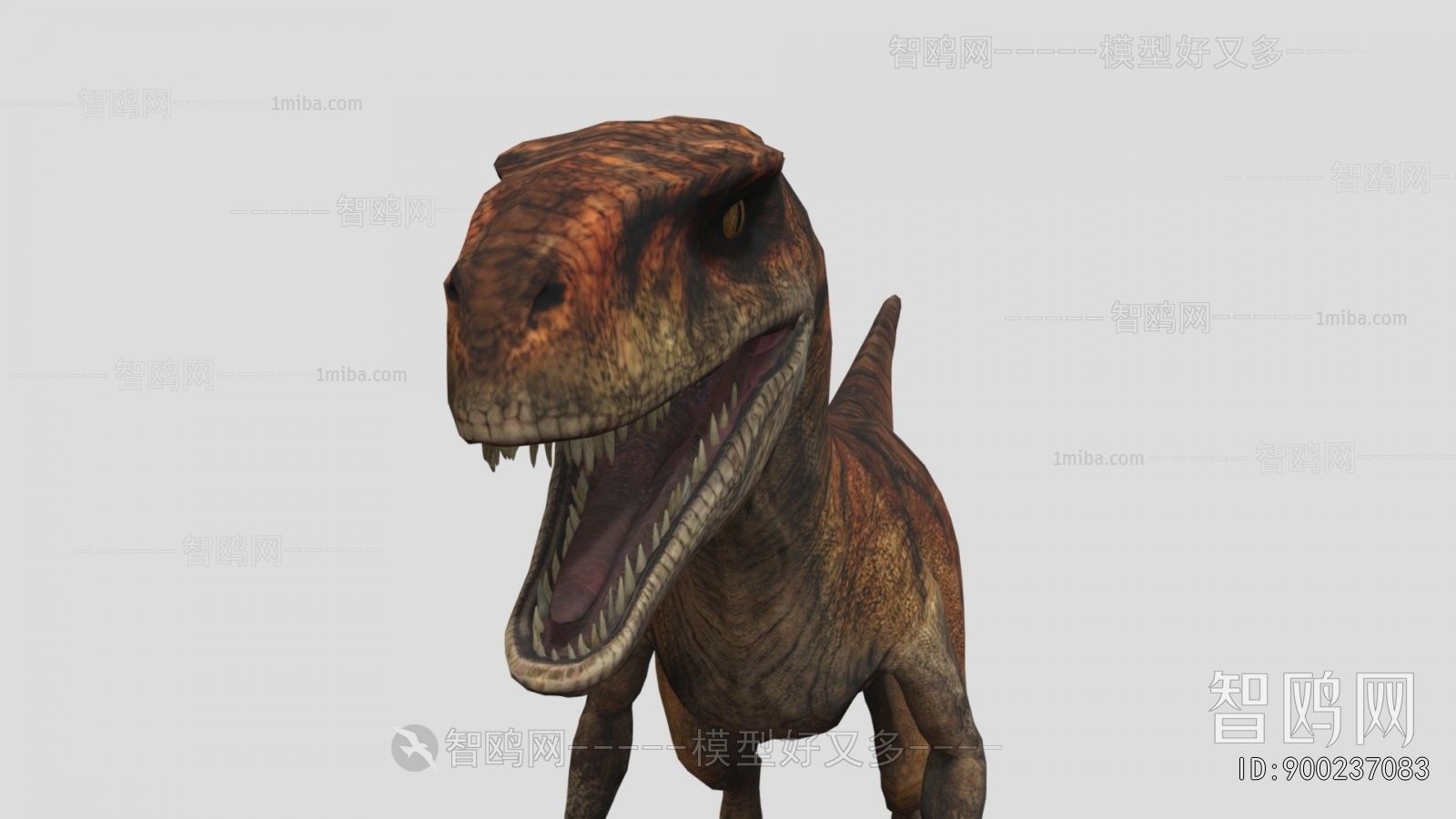 Modern Animal