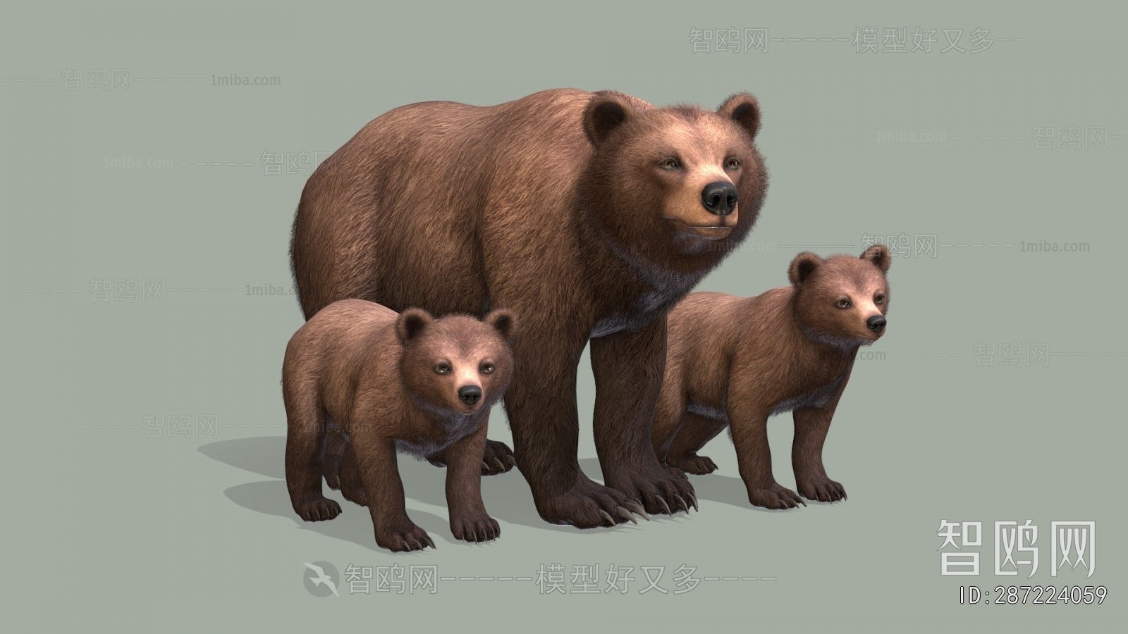Modern Mammal